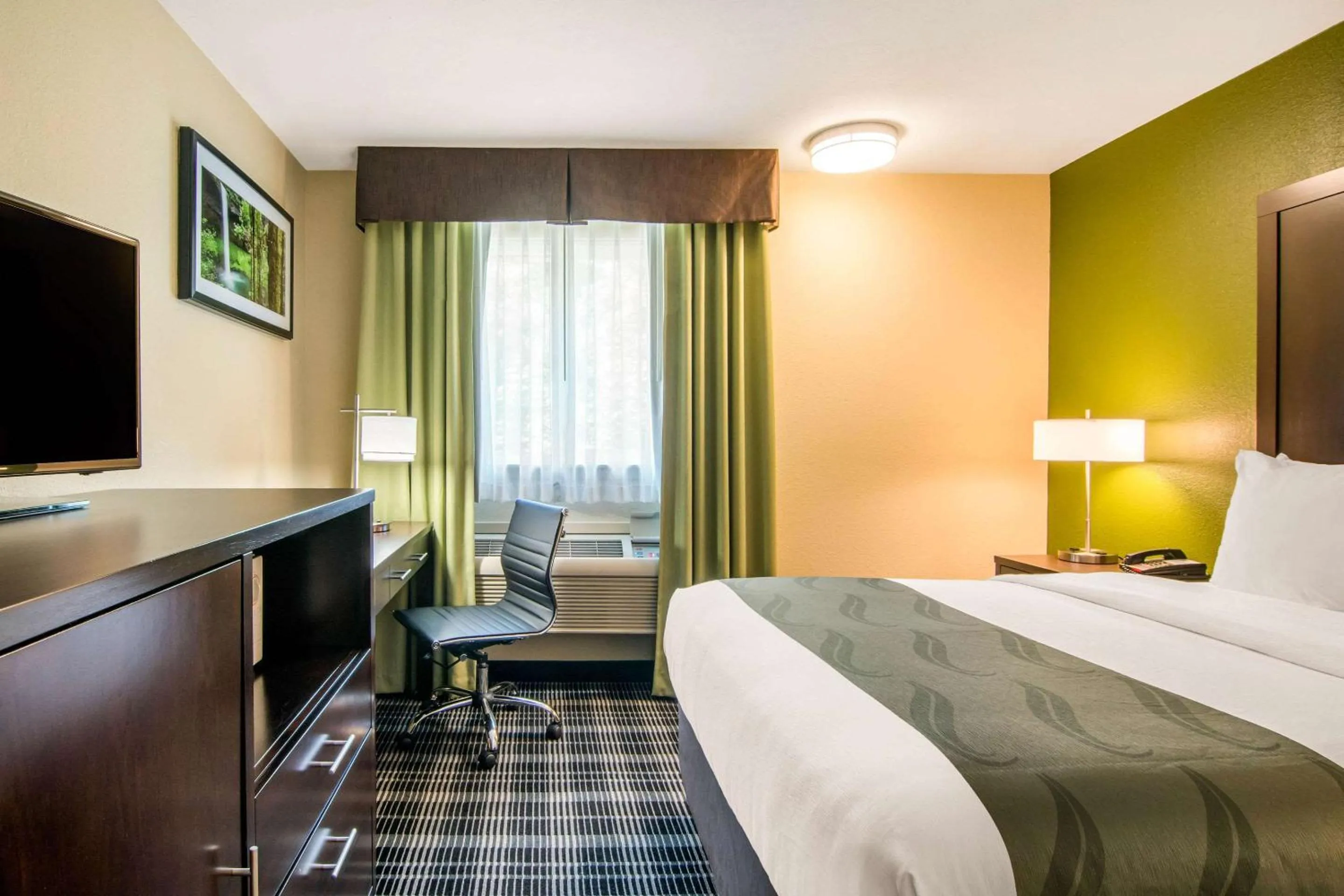 Photo of the whole room, Bed in Quality Inn & Suites Albany Corvallis