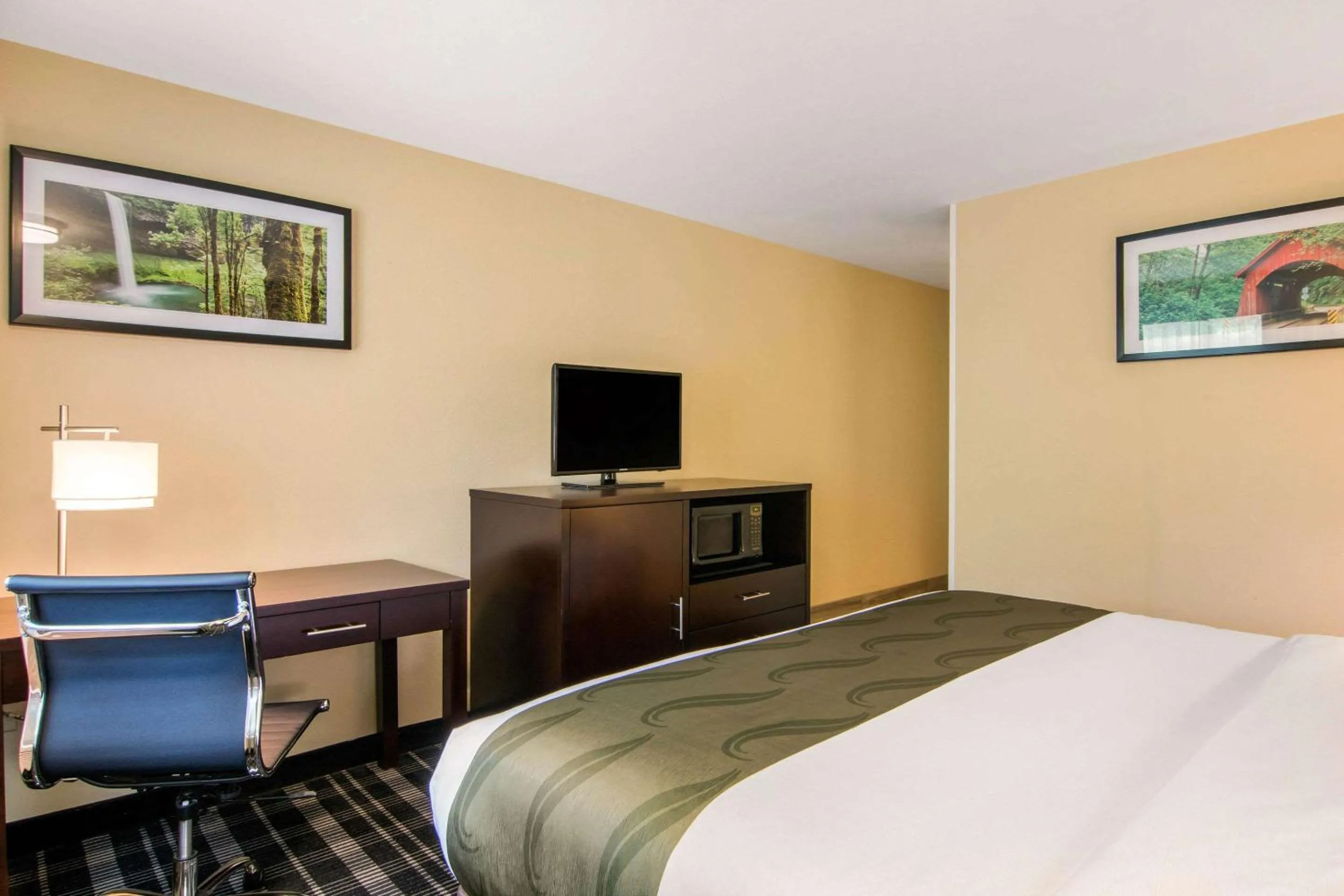 TV and multimedia, Bed in Quality Inn & Suites Albany Corvallis
