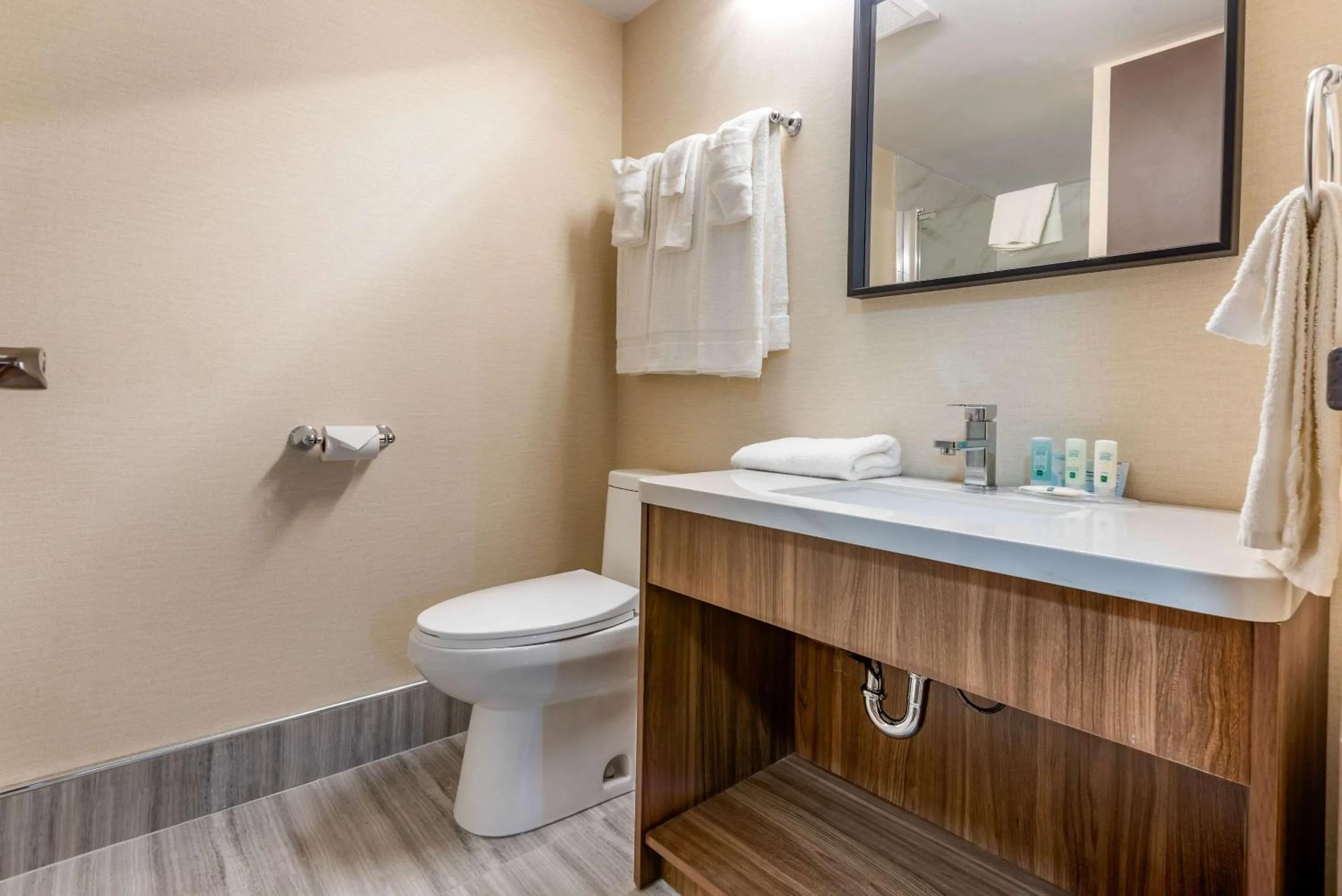 Bathroom in Quality Inn & Suites