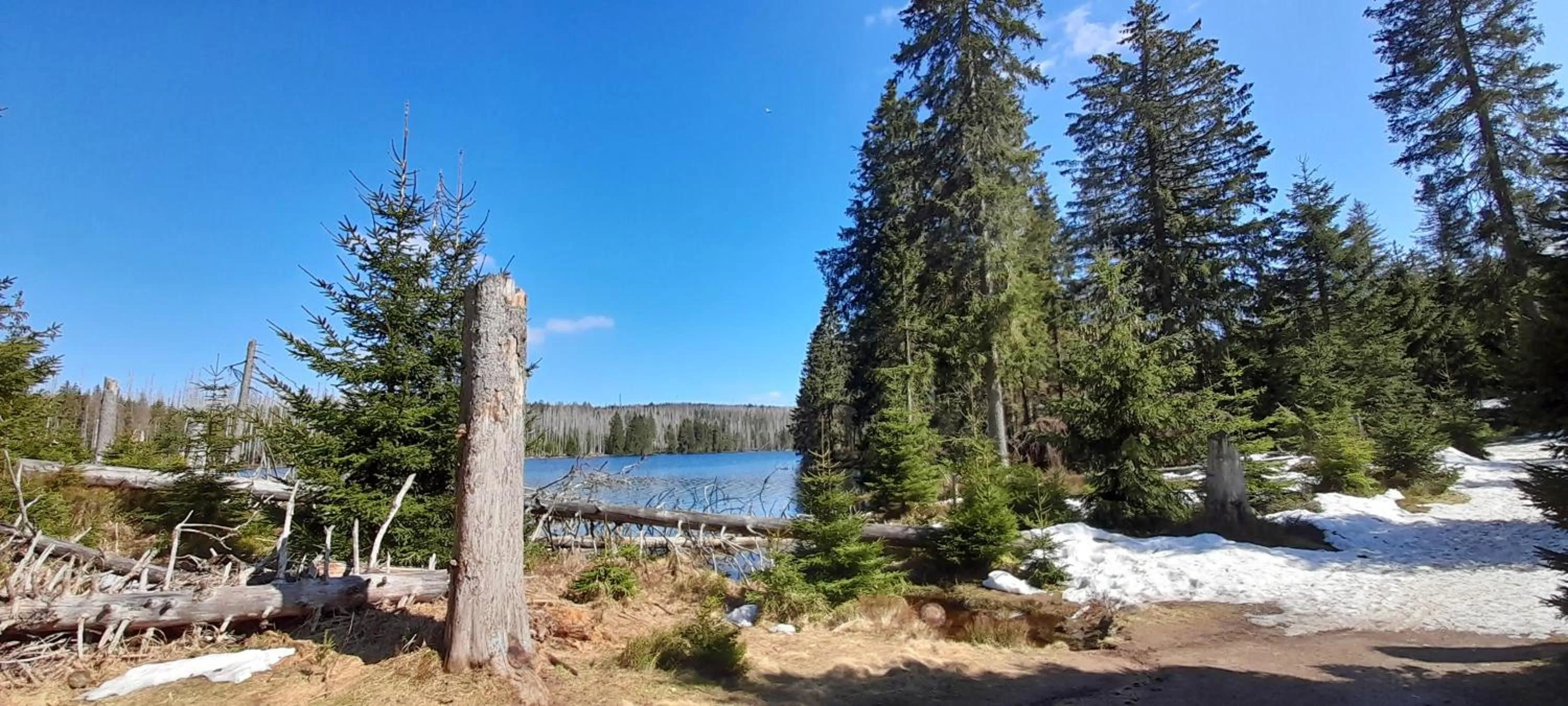 Nearby landmark in Hotel Silbertanne