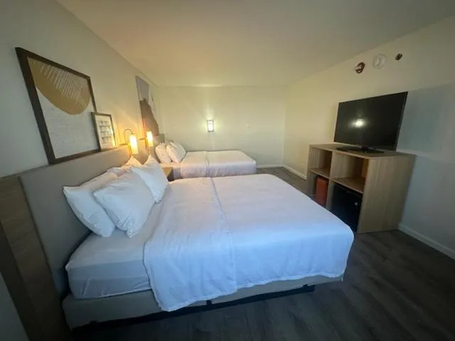 Bed in Baymont by Wyndham Rock Springs