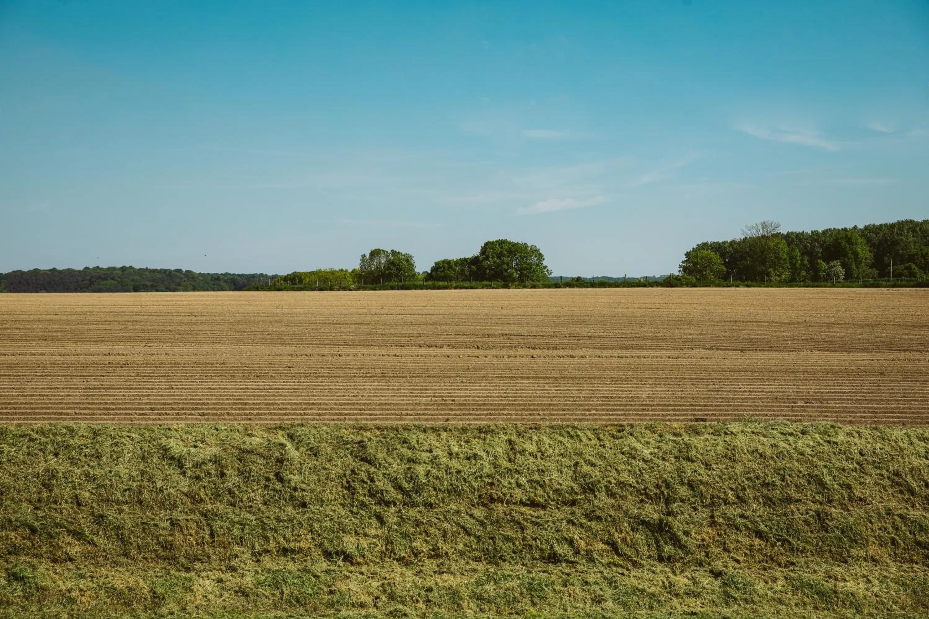 Neighbourhood in Chez Spoons B&B