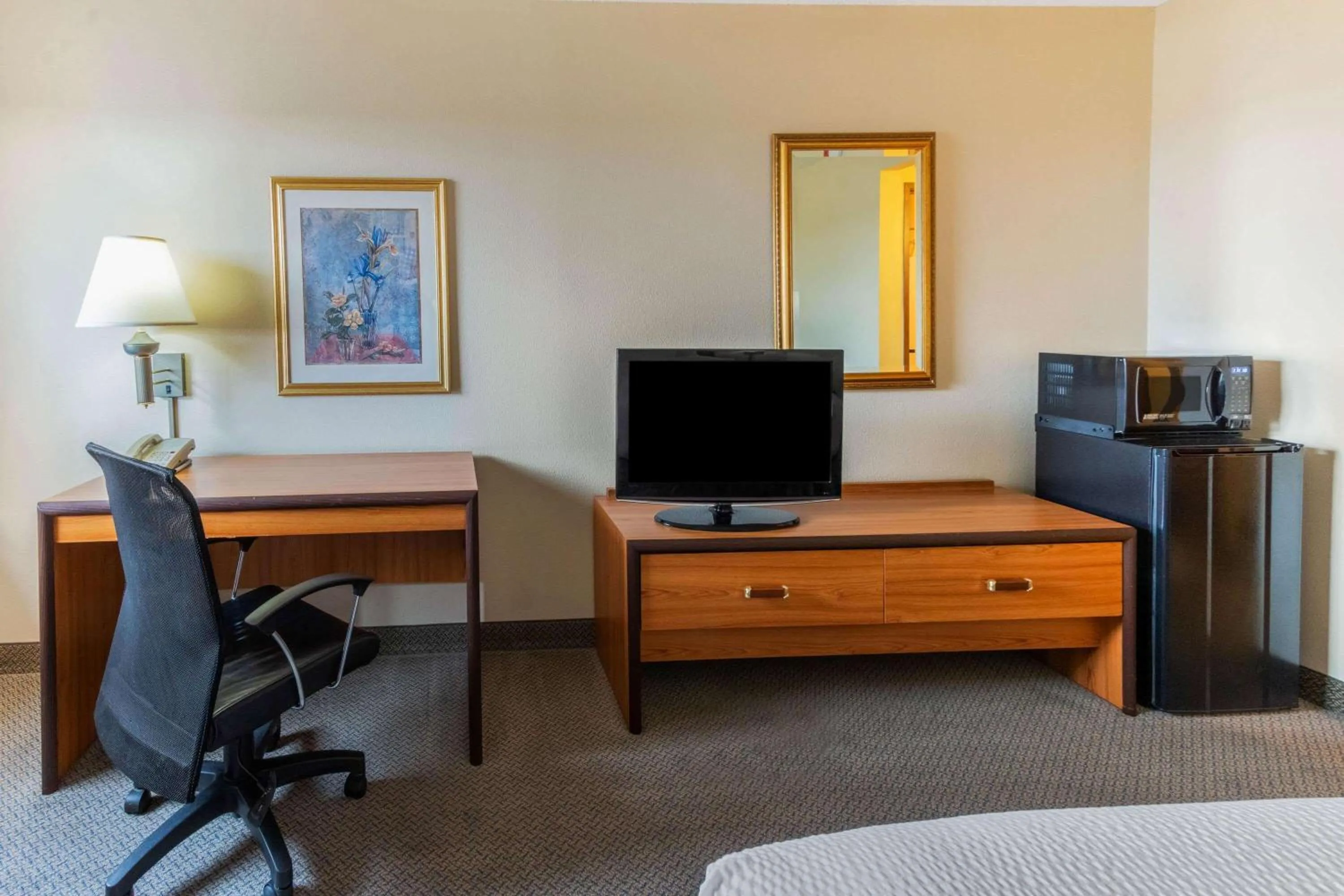 Photo of the whole room in La Quinta Inn & Suites by Wyndham Las Cruces Organ Mountain