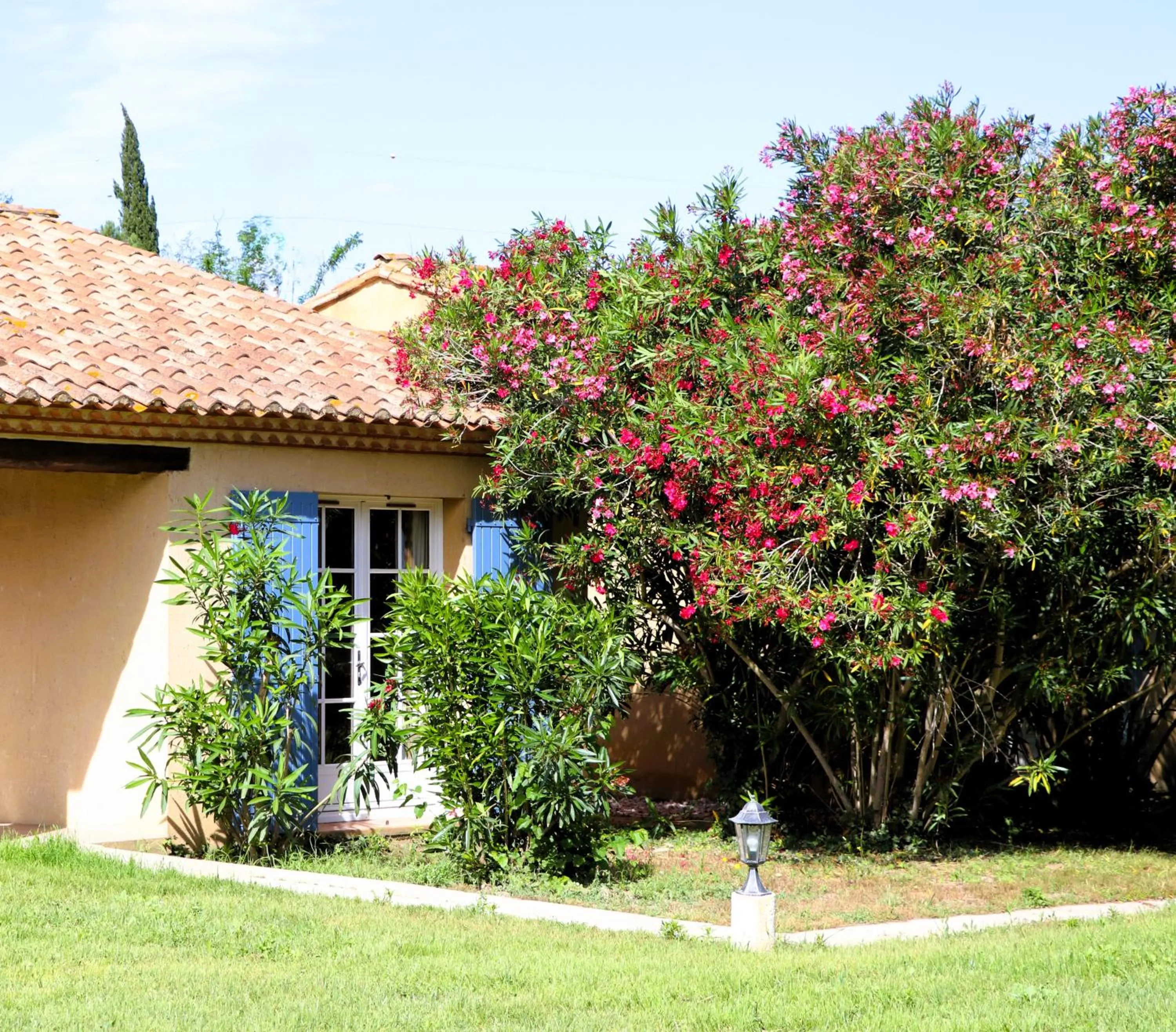 Natural landscape in Le Mas Des Sables