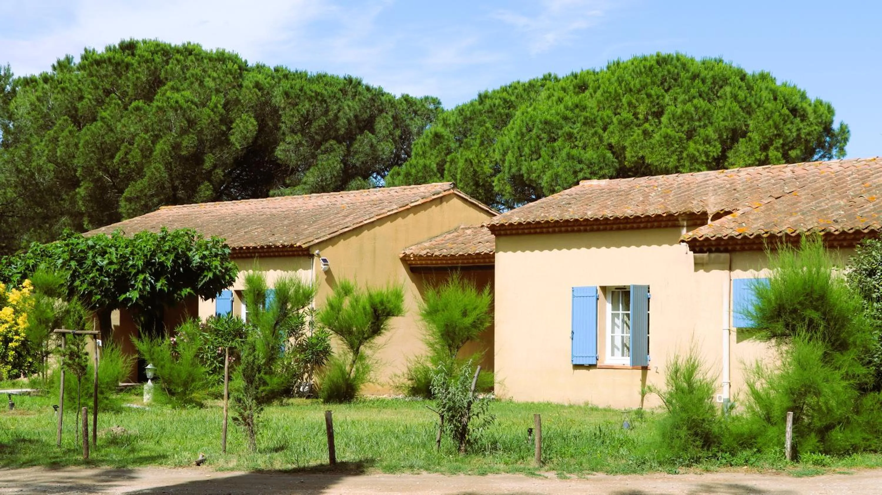 Natural landscape in Le Mas Des Sables