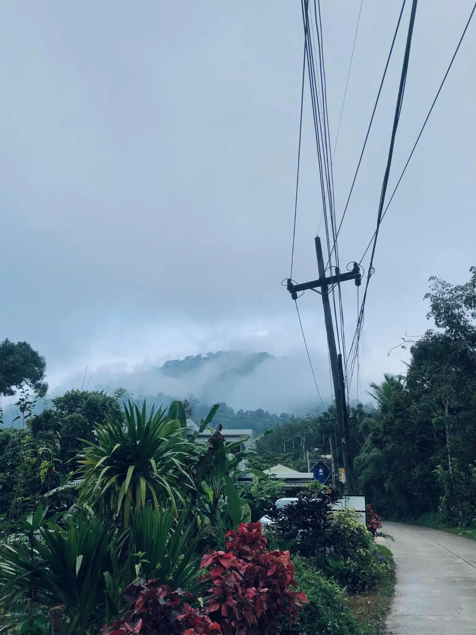 Quiet street view in Khao Sok Nung House