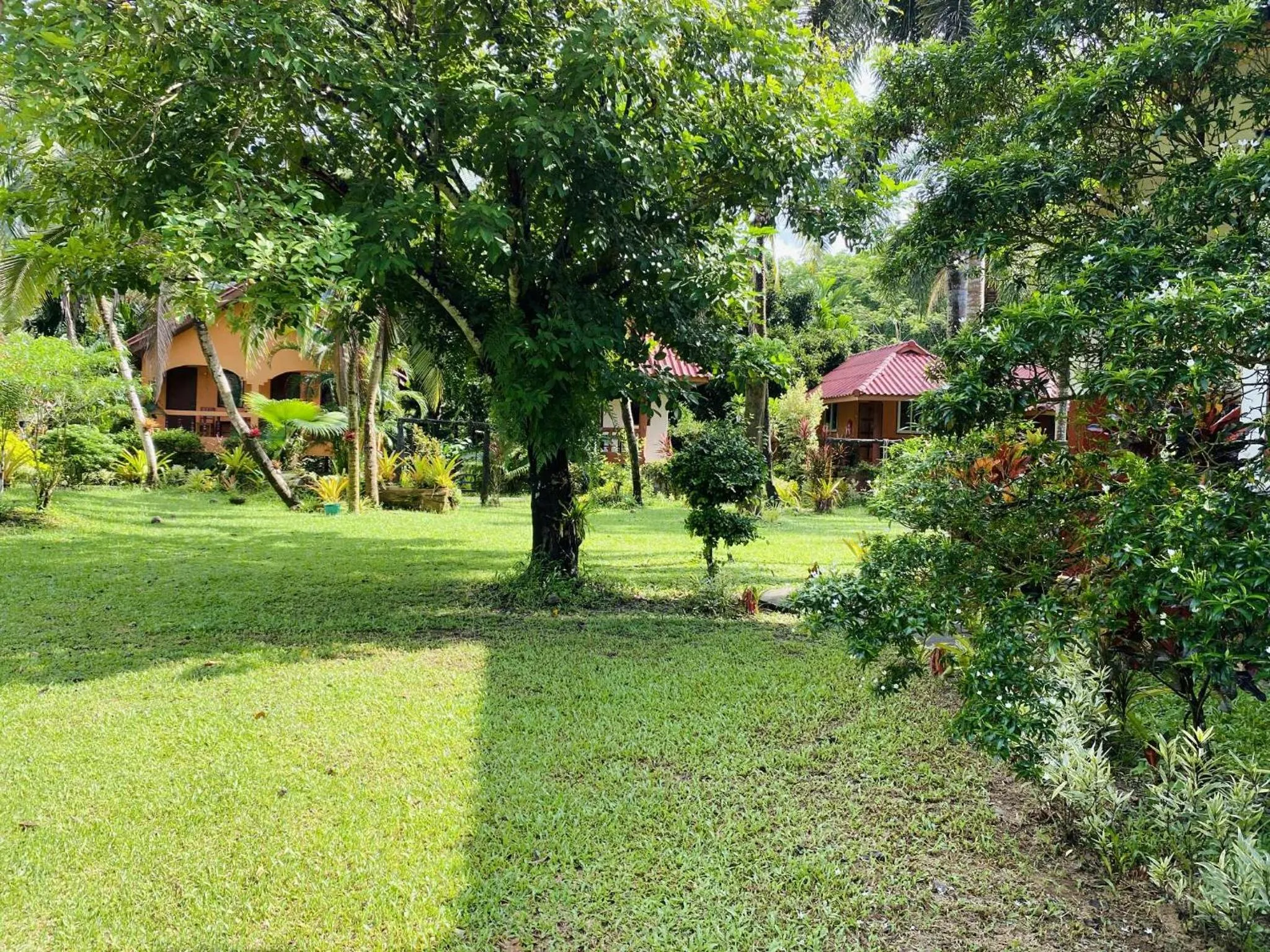 Natural landscape in Khao Sok Nung House