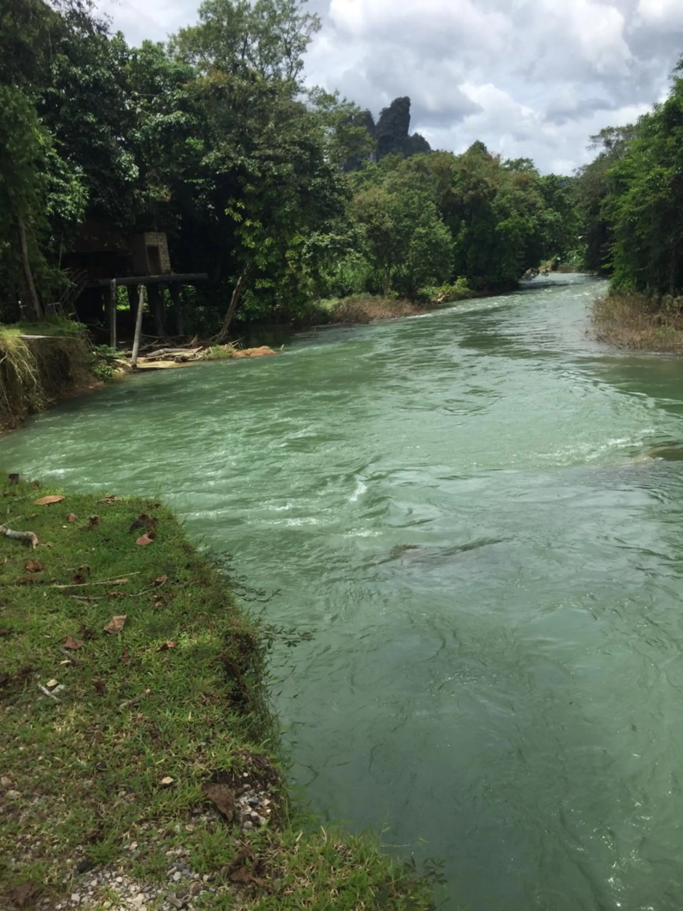 Natural landscape in Khao Sok Nung House