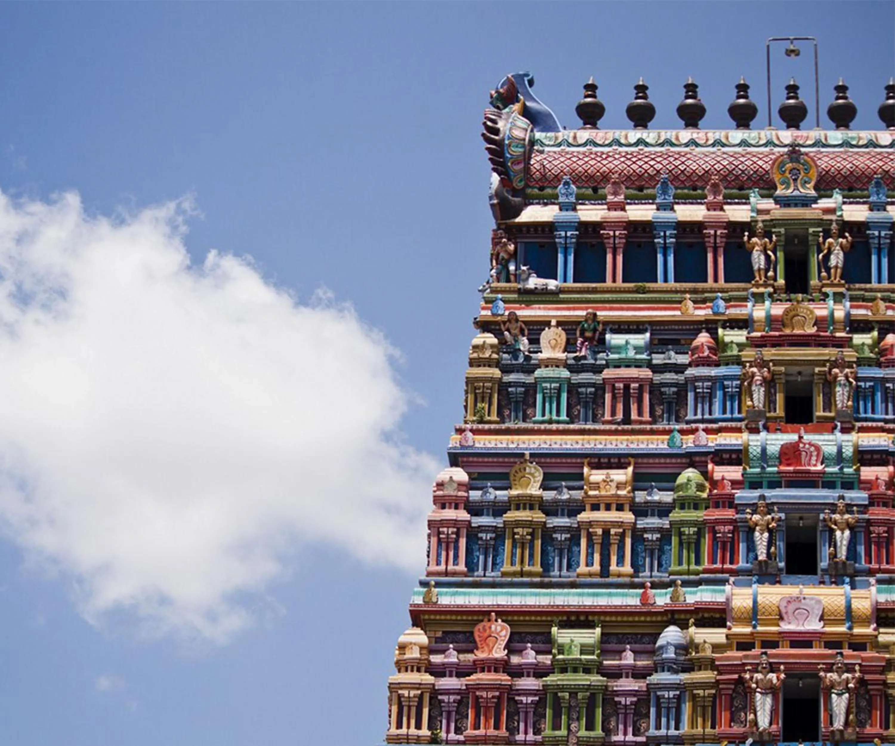 Other in Daiwik Hotels Rameswaram