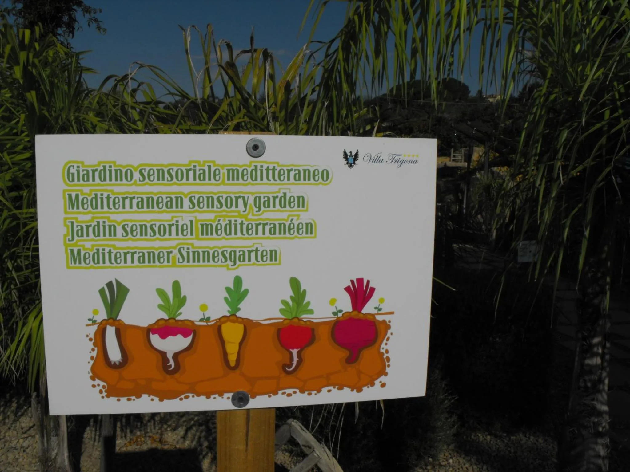 Garden in Villa Trigona