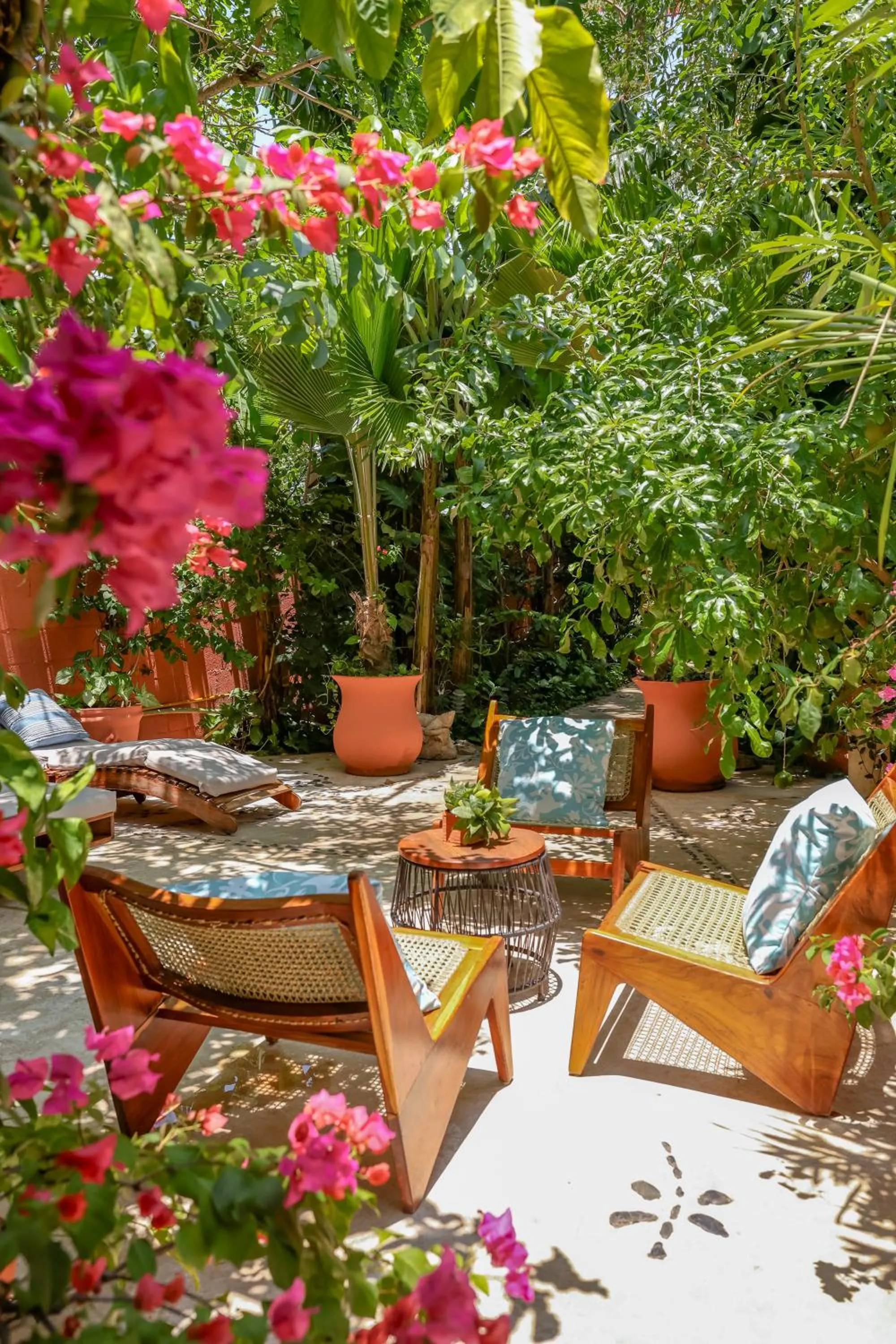 Garden in Le Muuch Hotel Boutique