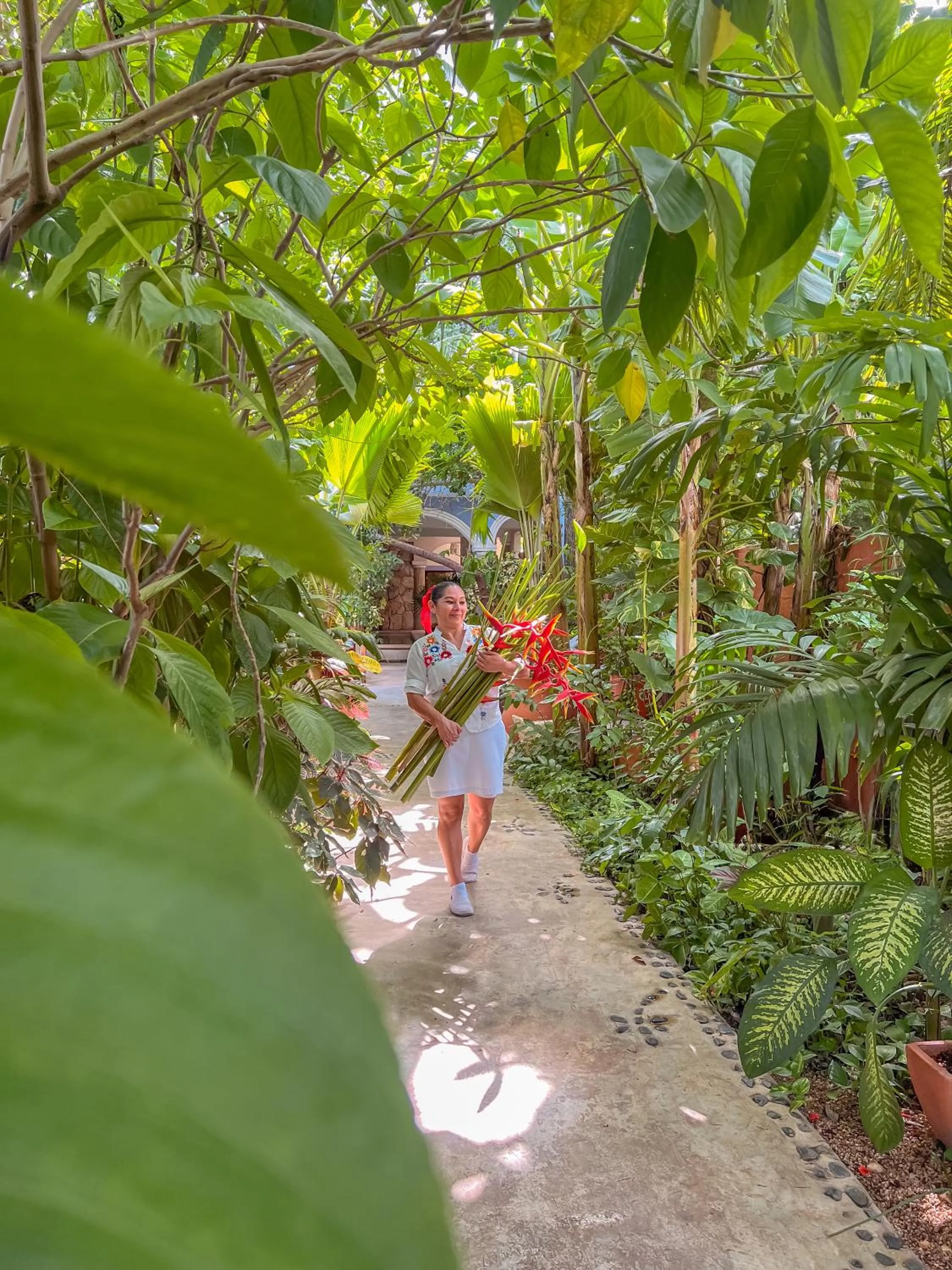 Garden in Le Muuch Hotel Boutique