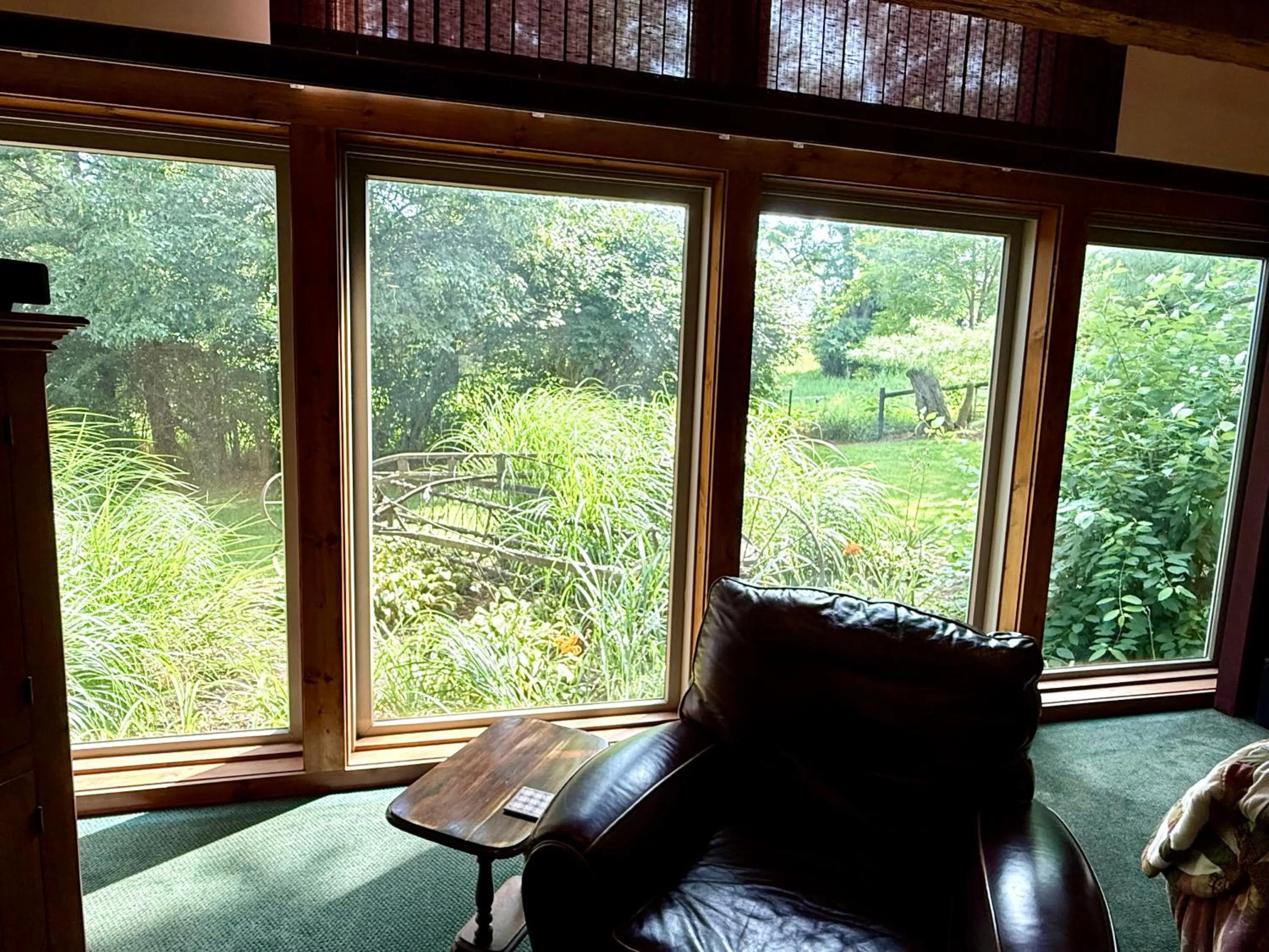 View (from property/room) in HIllside Farm B & B