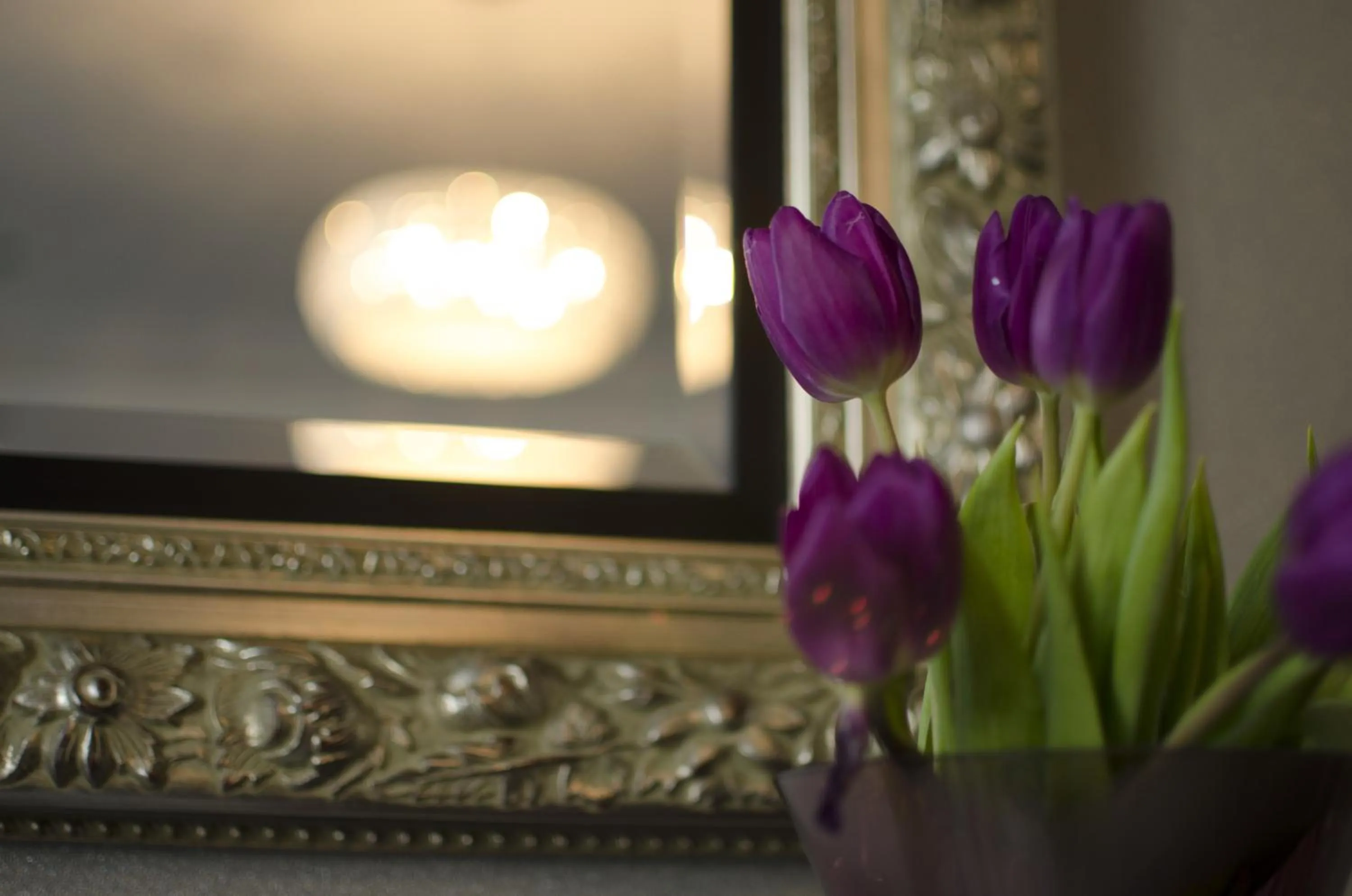 Lobby or reception in The Belgrave Hotel