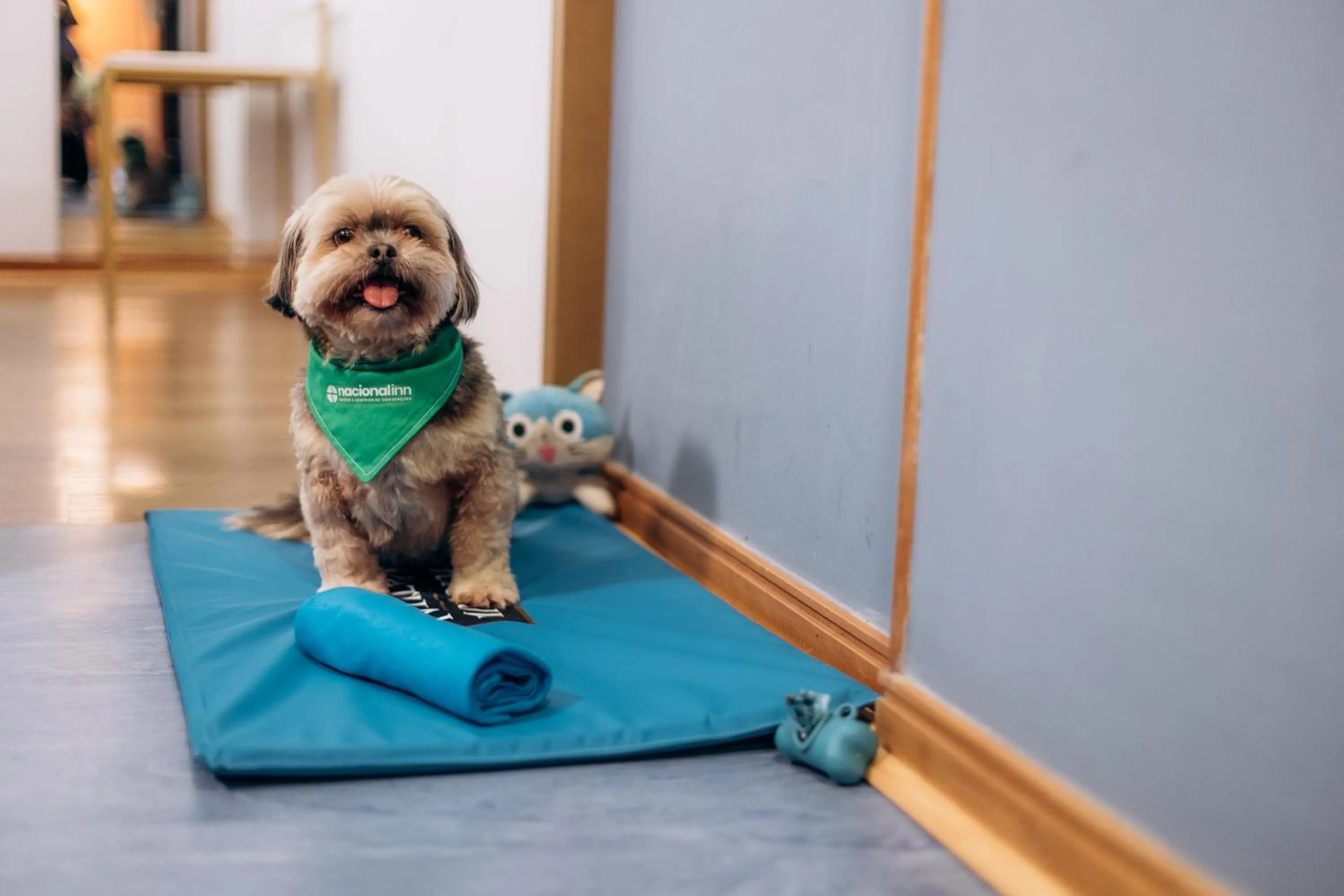 Pets in Hotel Euro Suite Curitiba Batel By Nacional Inn