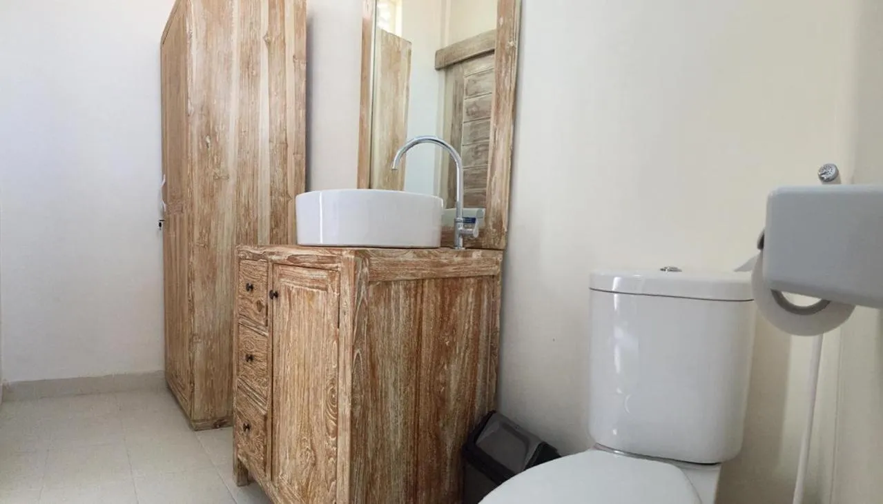 Shower in Laksmi Guest House