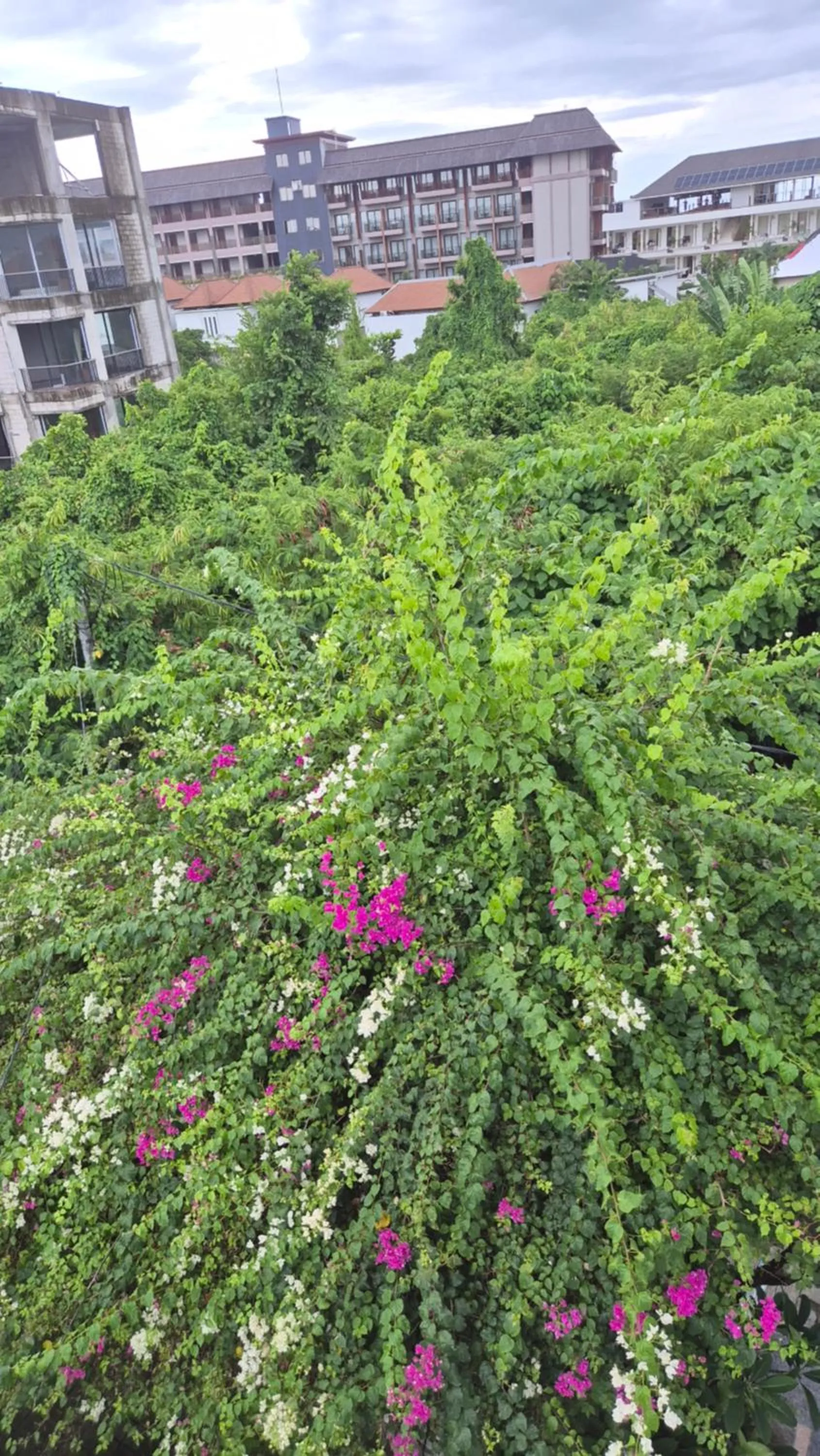 Area and facilities in Laksmi Guest House