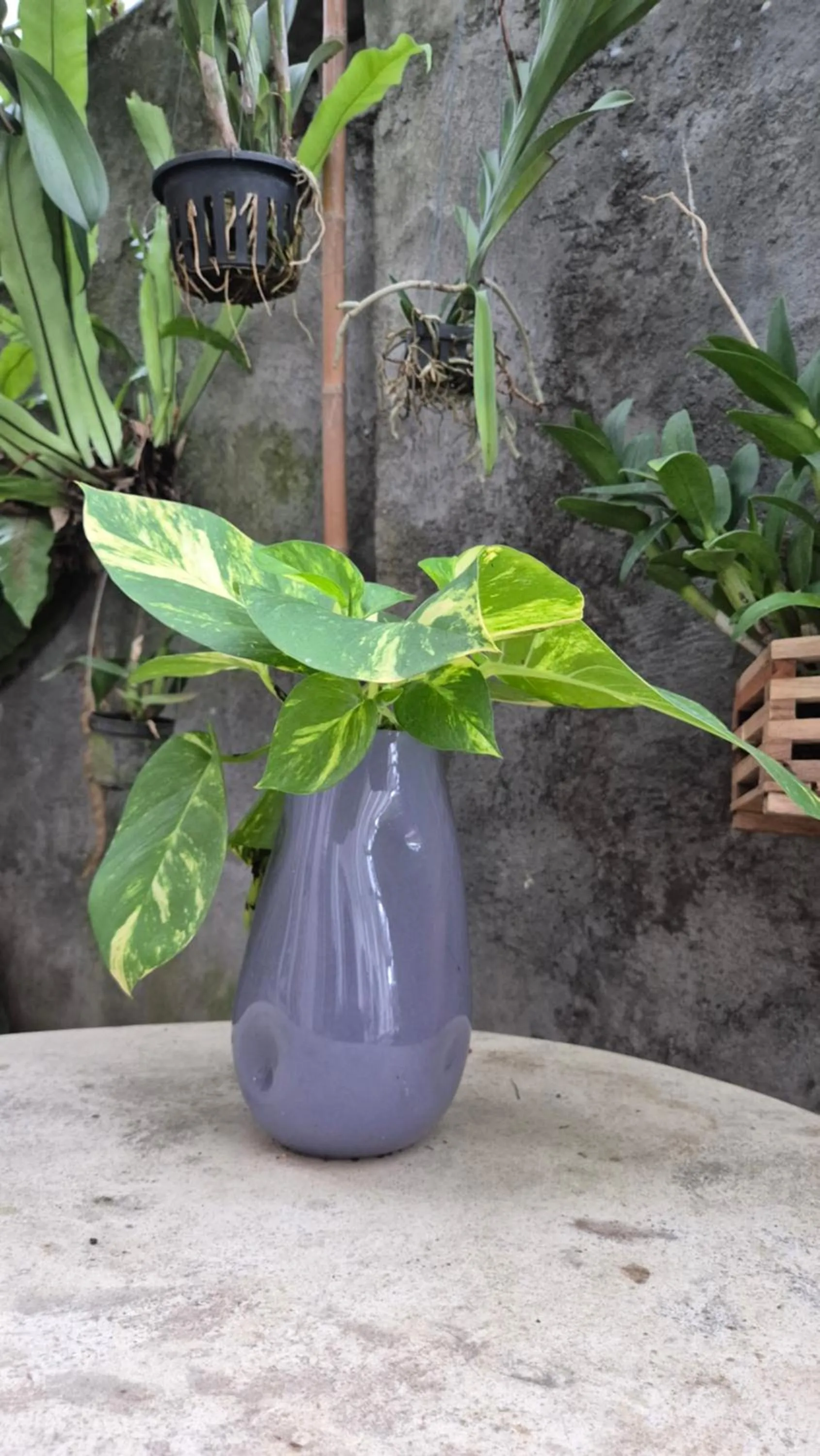 Day in Laksmi Guest House