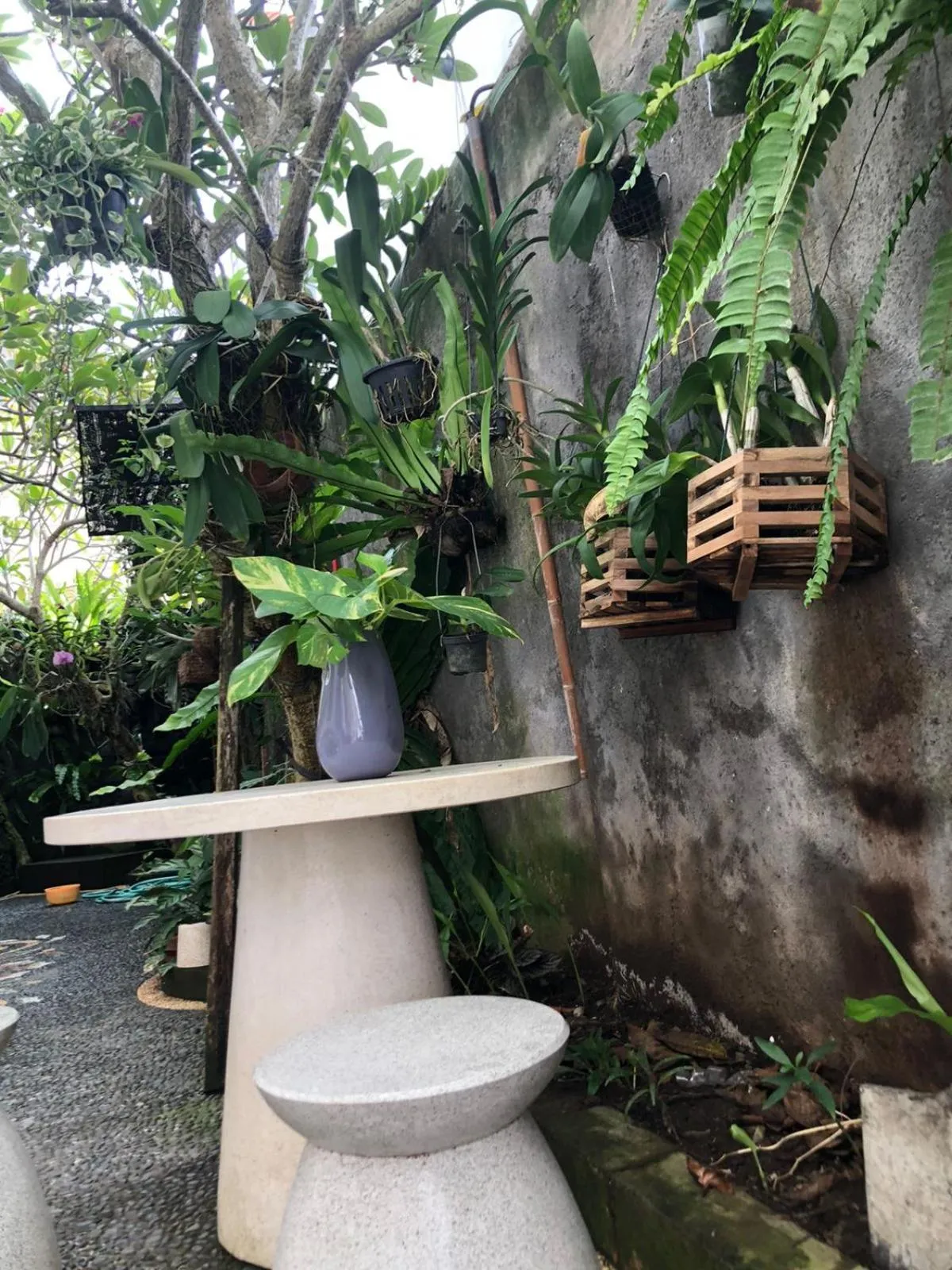 Property building in Laksmi Guest House