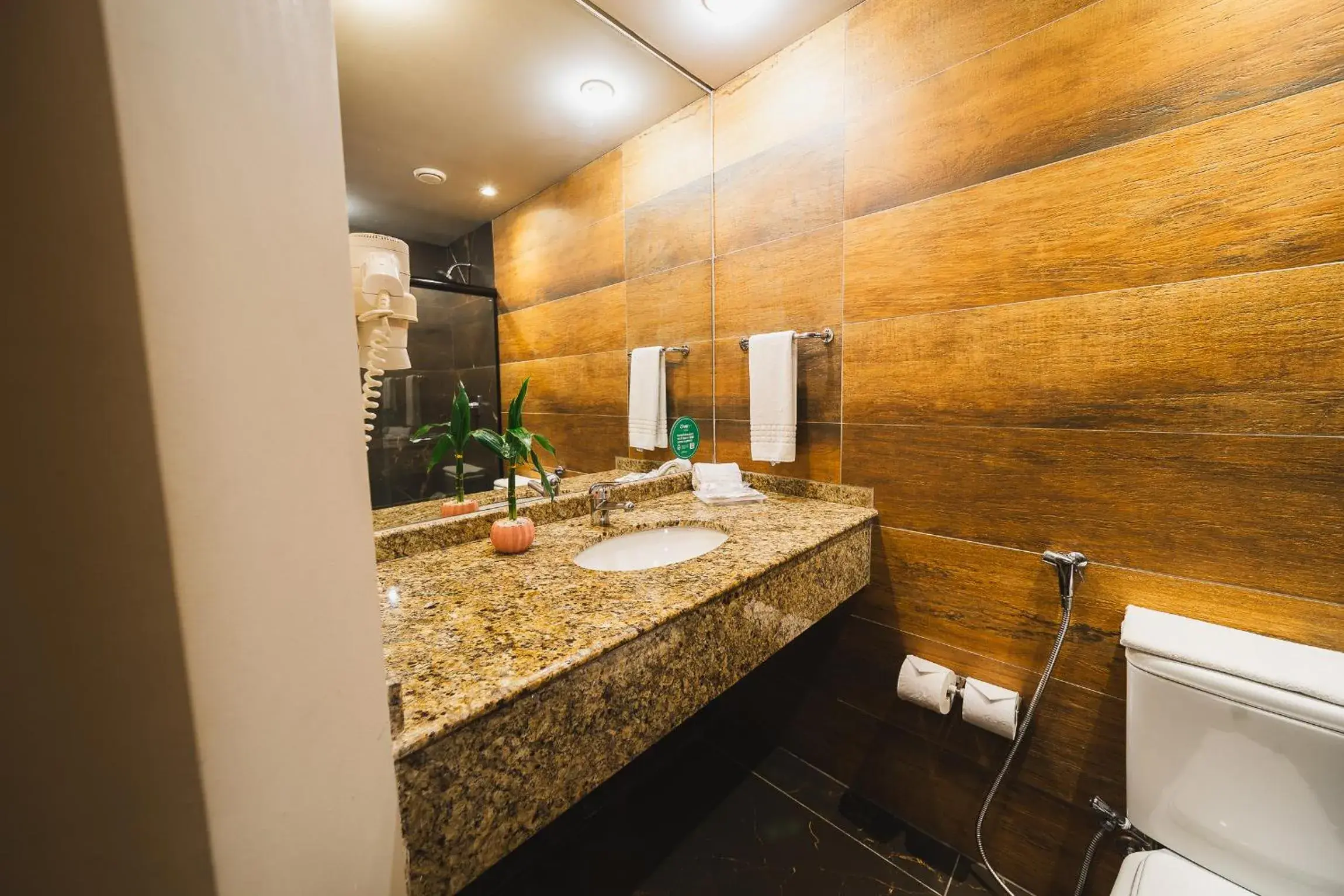 Standard Queen Apartment in Hotel Cassino Tower Curitiba Aeroporto By Nacional Inn Standard Queen Apartment in Hotel Cassino Tower Curitiba Aeroporto By Nacional Inn