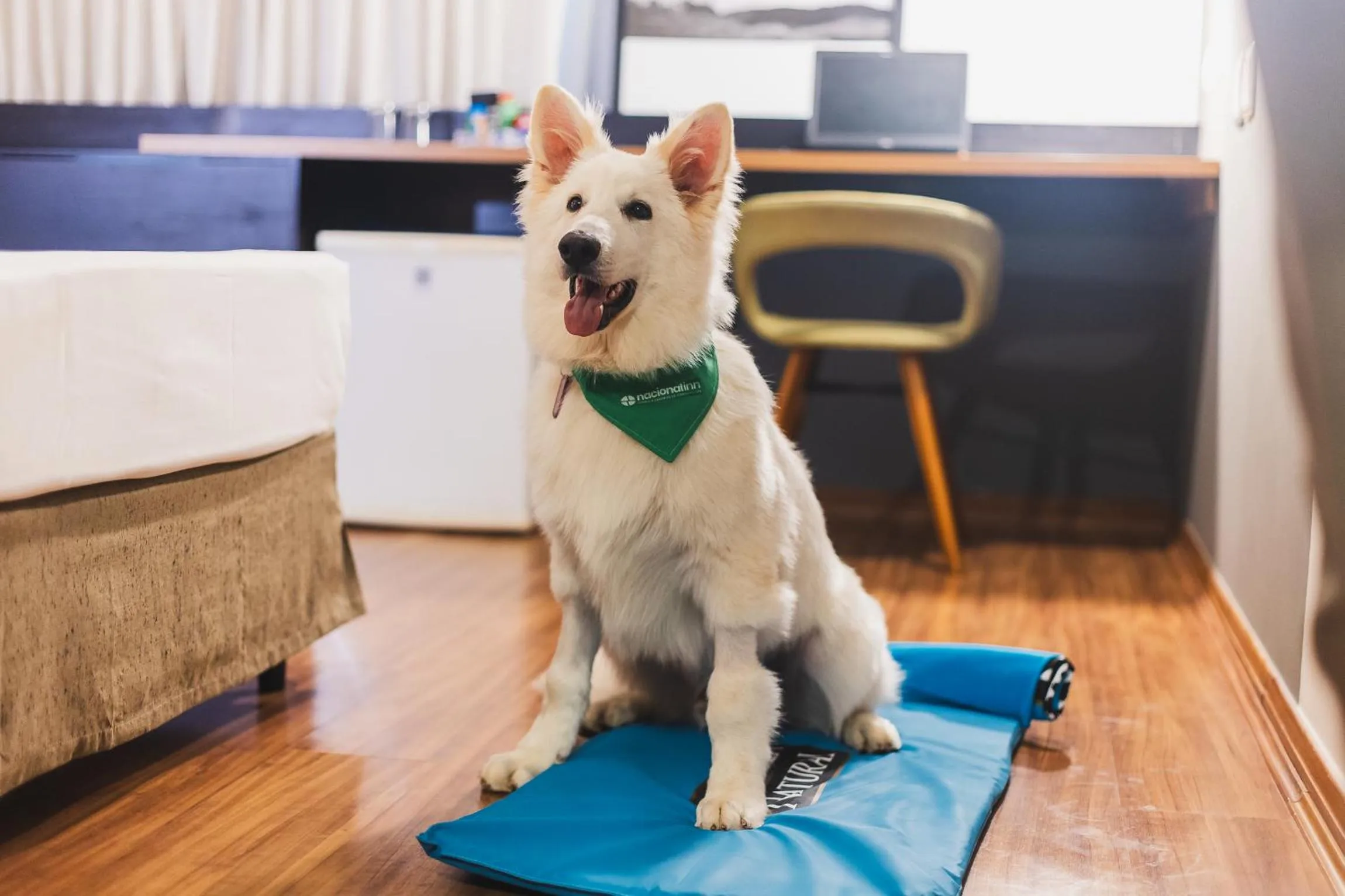 Pets in Hotel Cassino Tower Curitiba Aeroporto By Nacional Inn