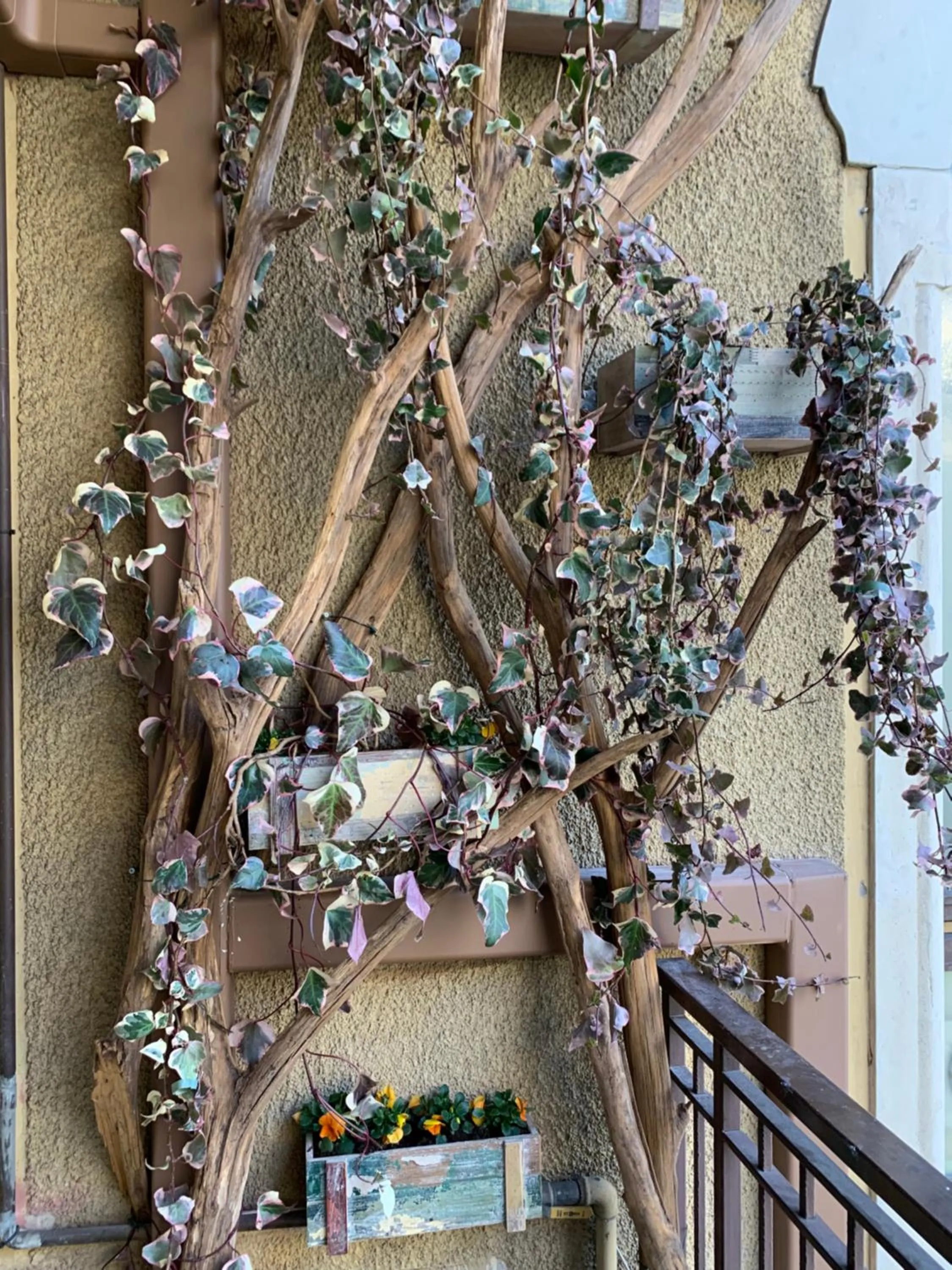 Balcony/Terrace in Bello!Lake Como Suites