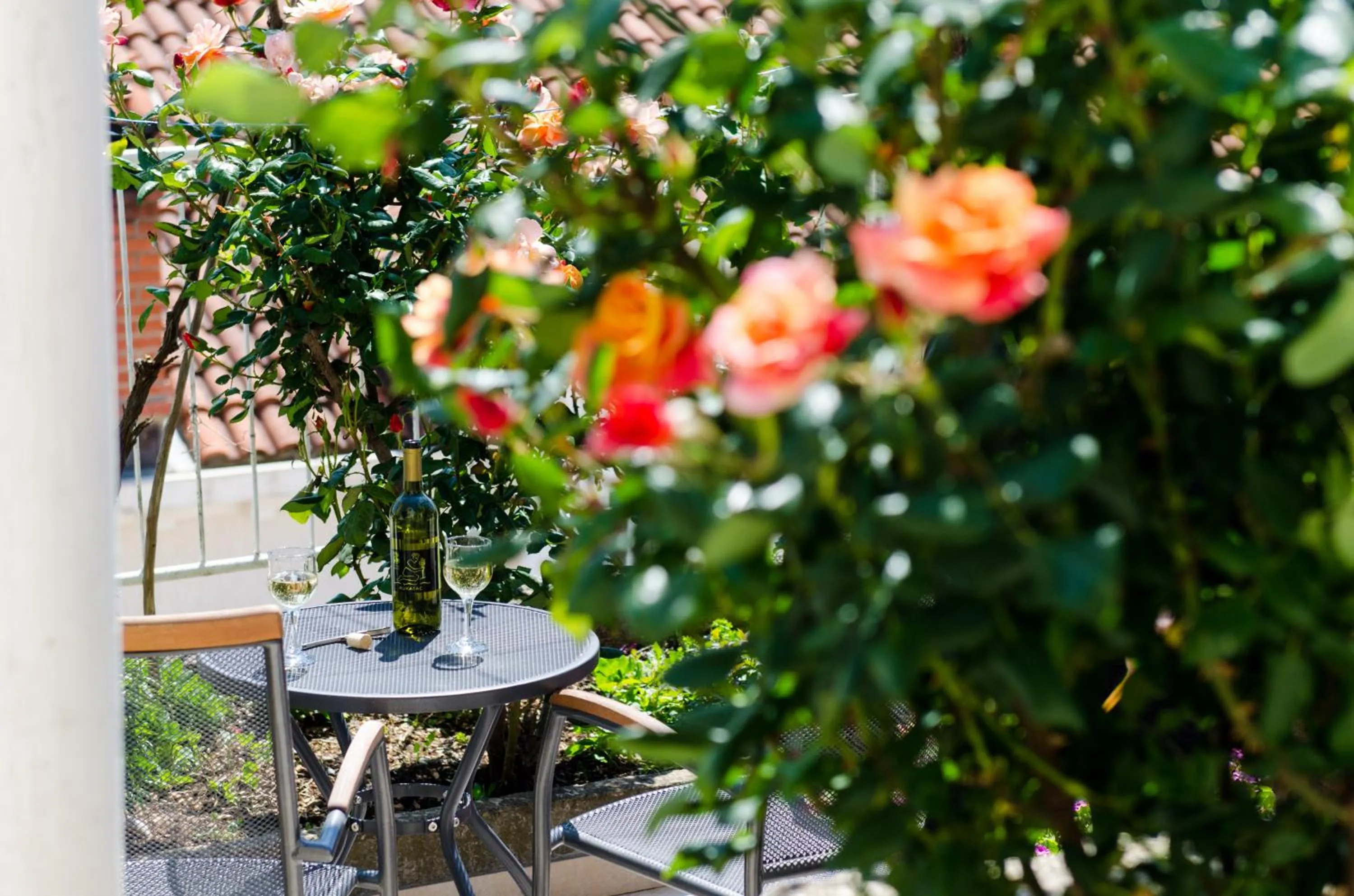 Balcony/Terrace in Apartments Zore Glavinić