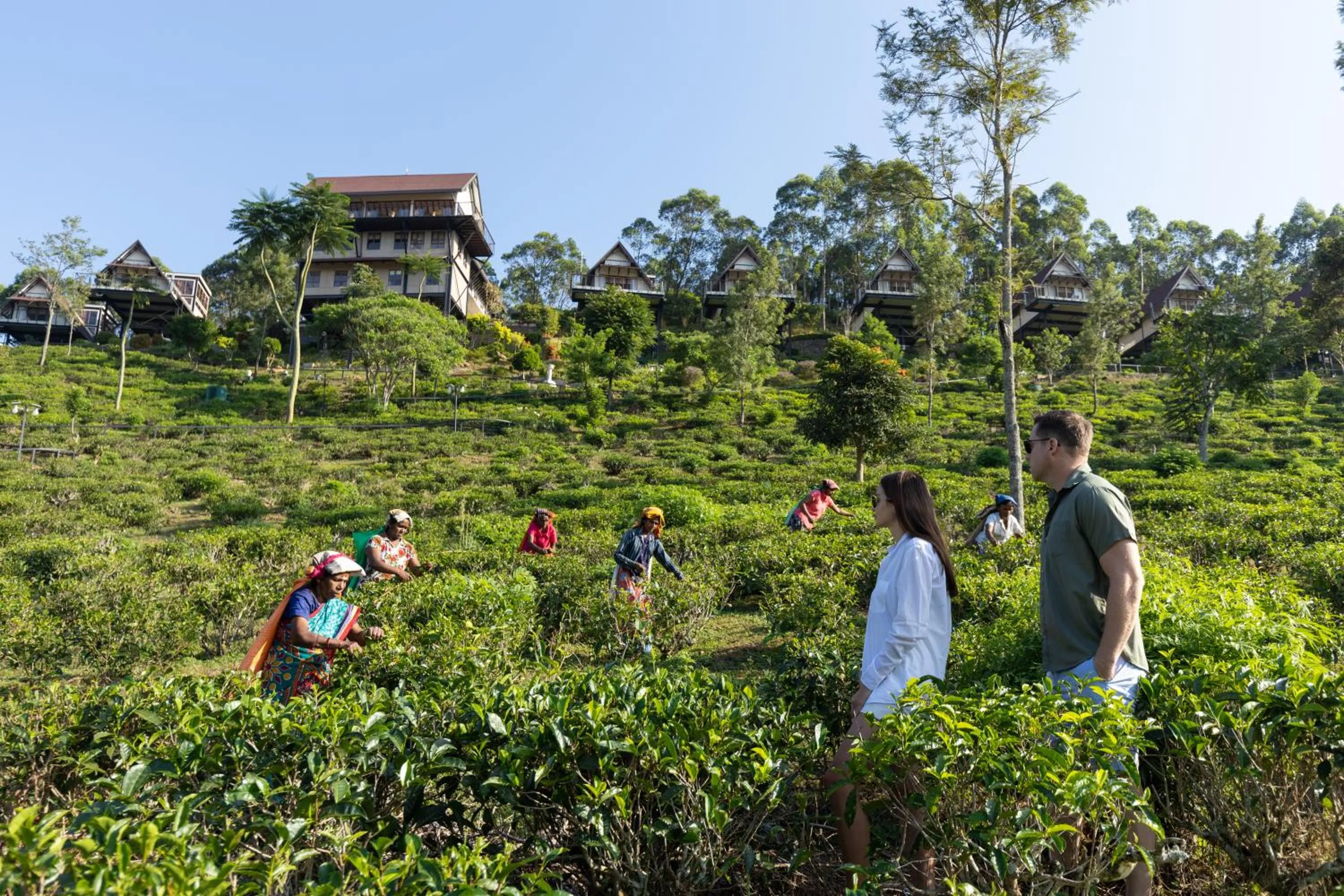 Garden view in Anasa Wellness Resort