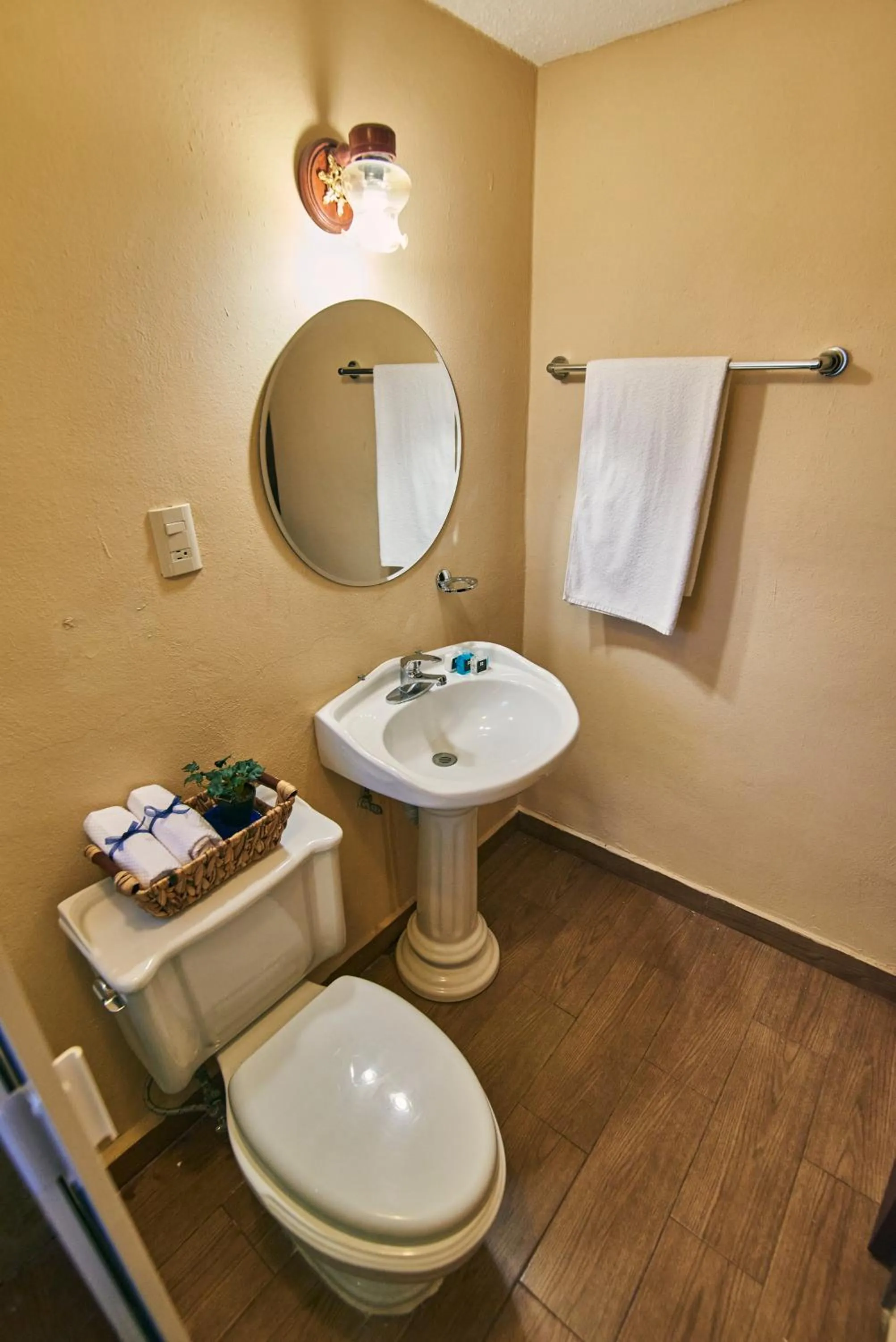 Toilet in Hotel Palacio de Moctezuma