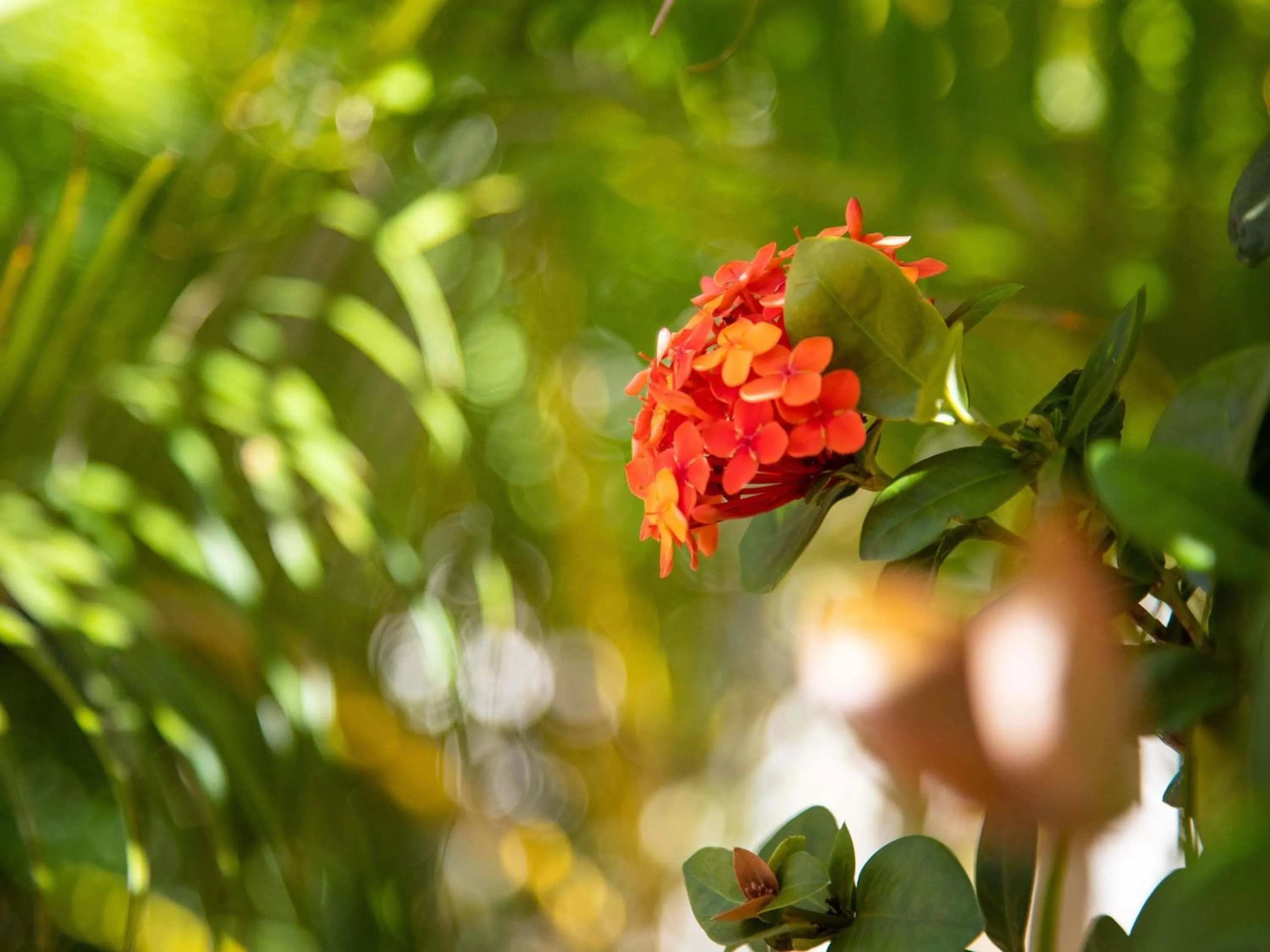 Property building in Ibis Styles Karratha