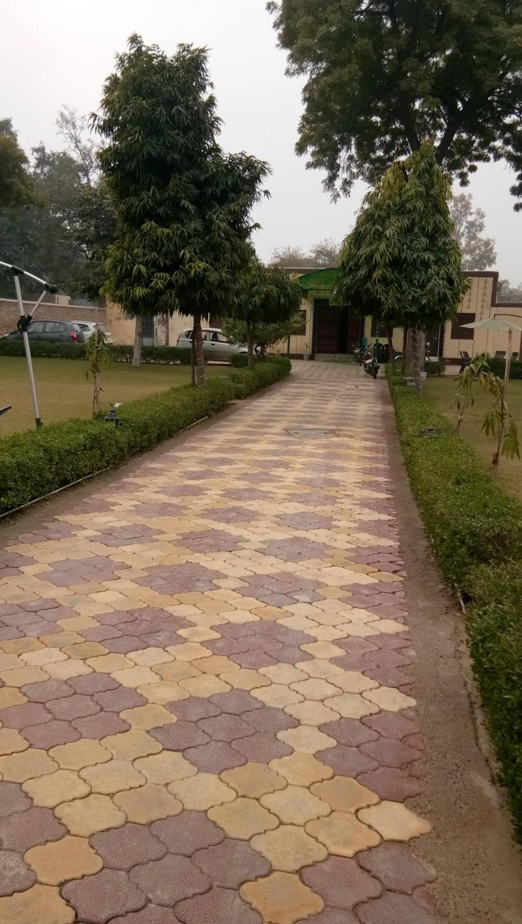 Garden in Radha Krishna Dham