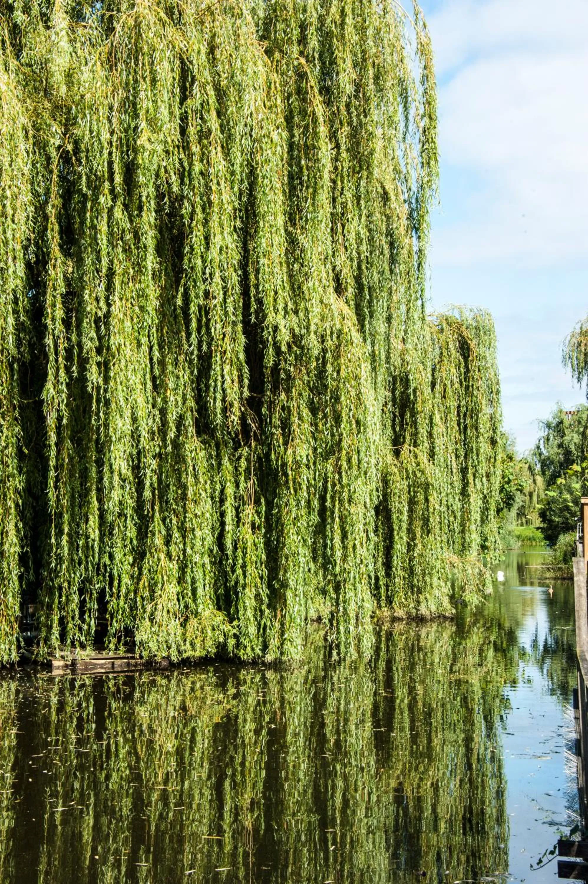 Day in Canal Garden Apartment StayWell Amsterdam