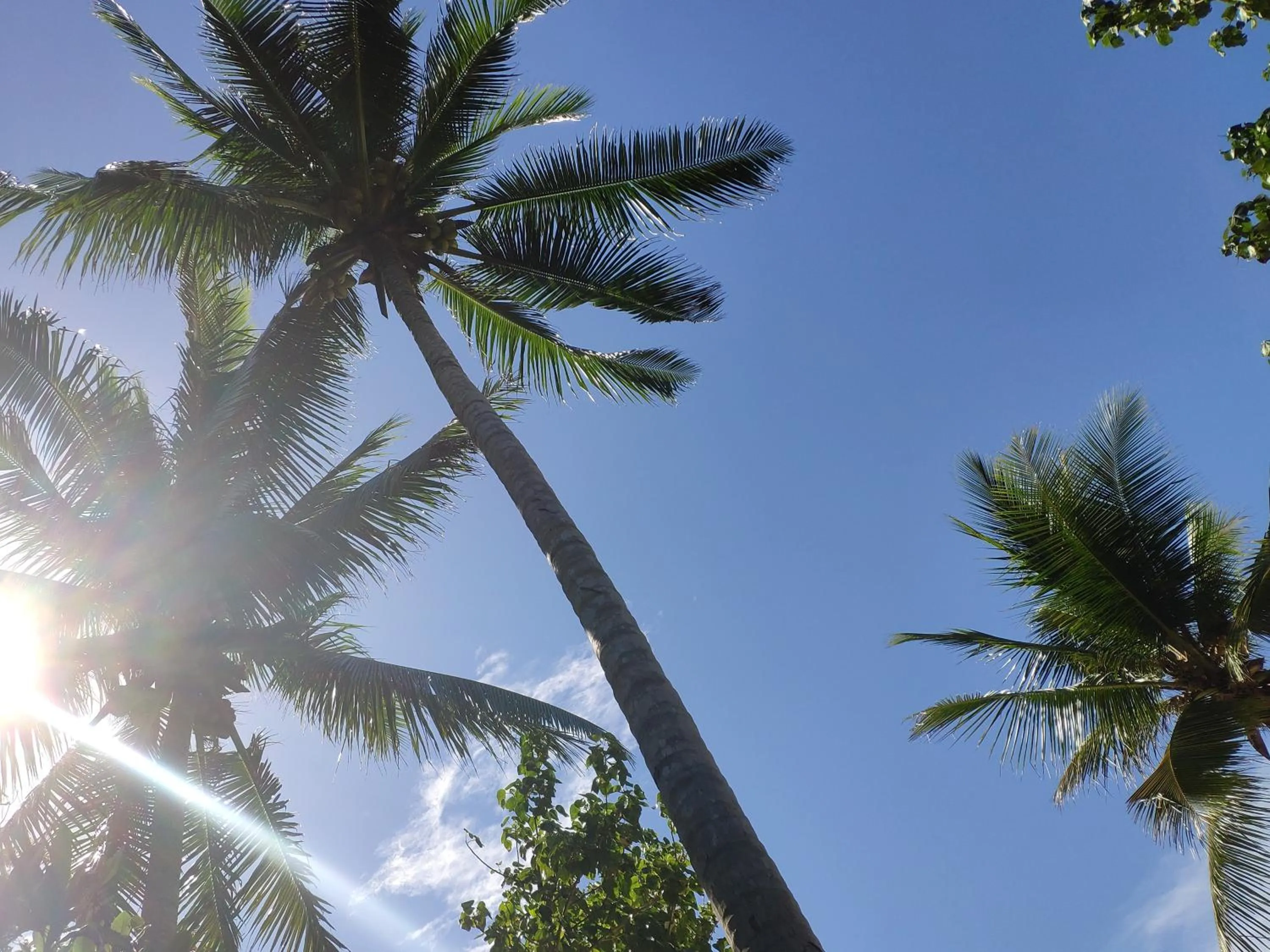 Garden in Harmony Bay Resort and Dive Center
