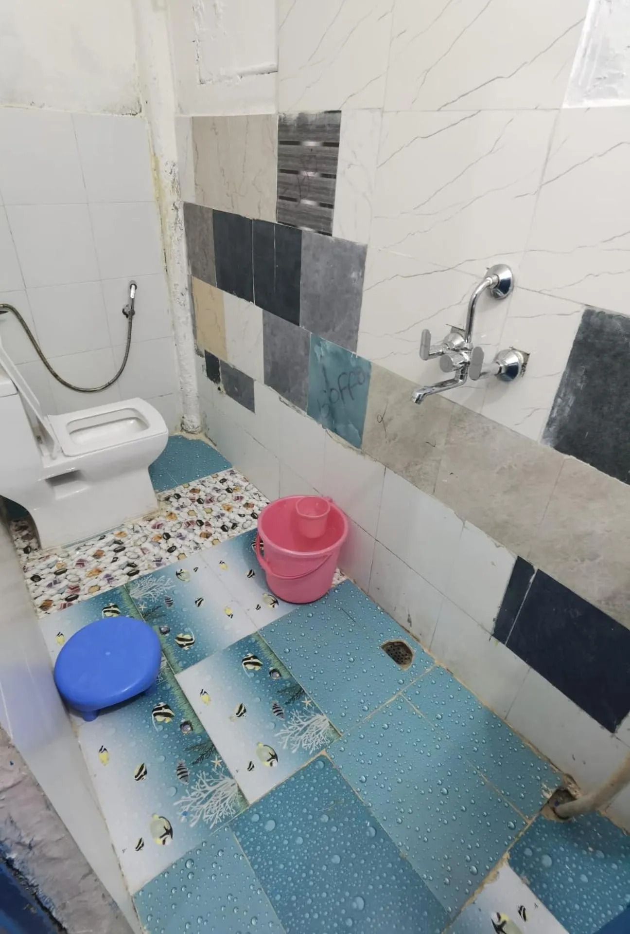 Mirvana Guest House & Camel safari