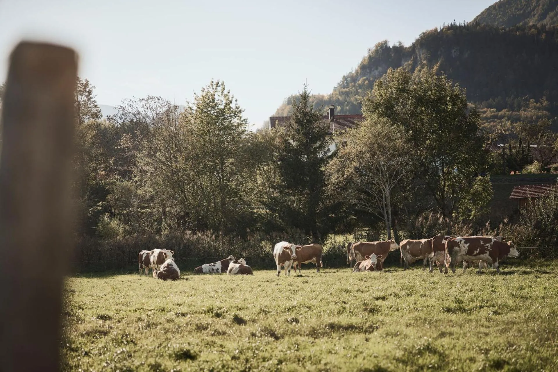 Natural landscape in Rait´ner Wirt