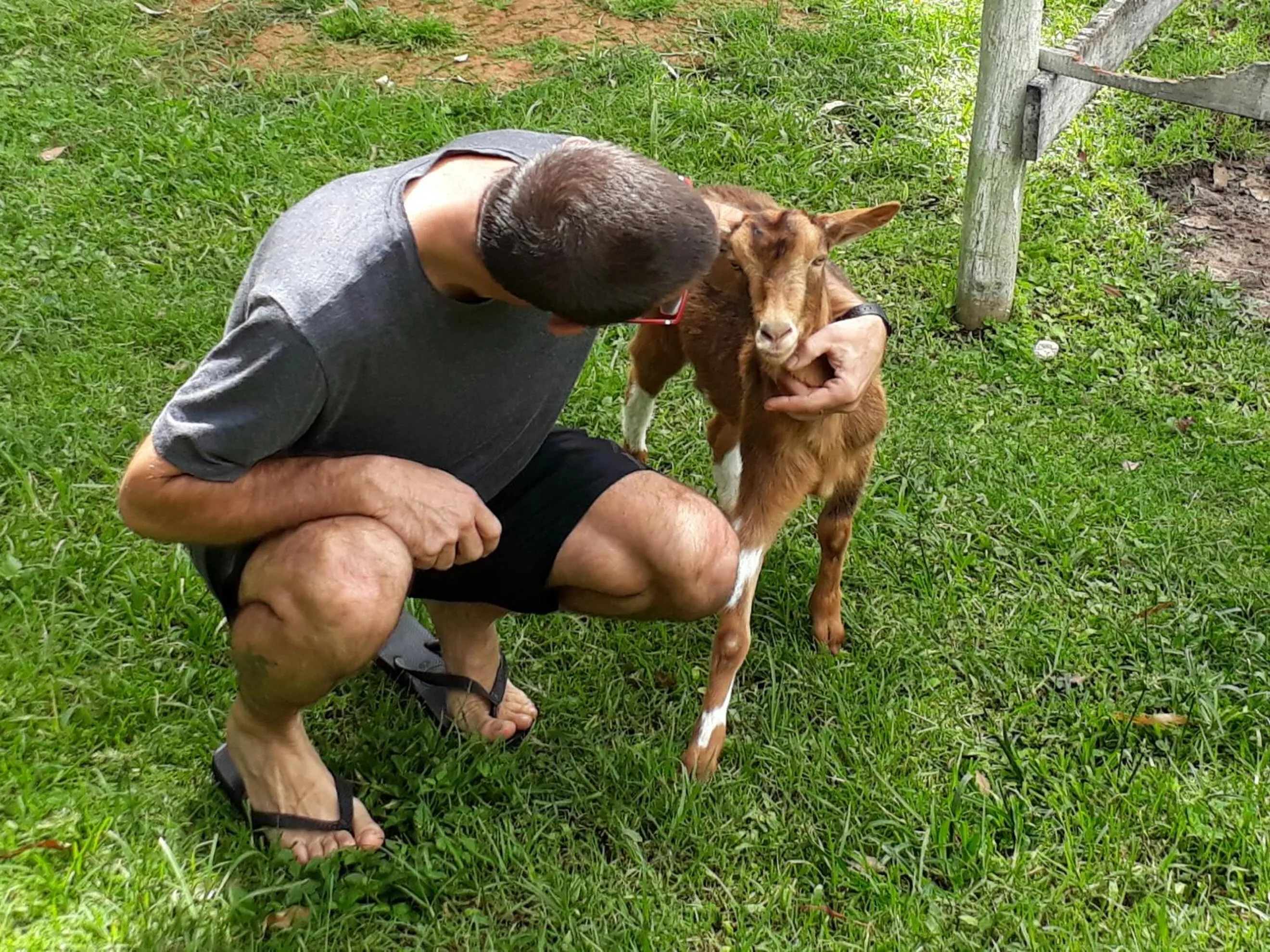 Garden in Hotel Fazenda São Moritz