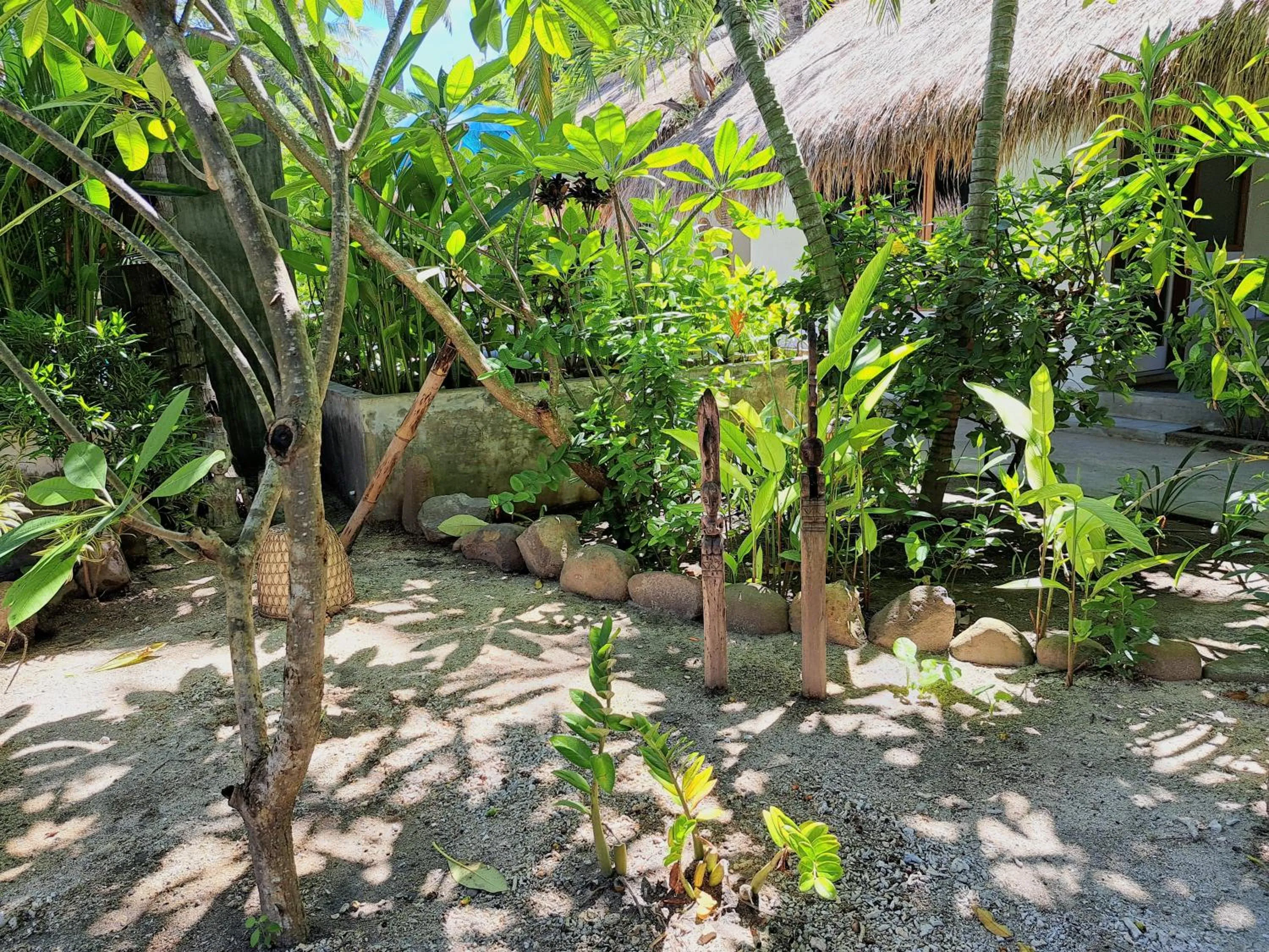 Natural landscape in Eden Eco Resort