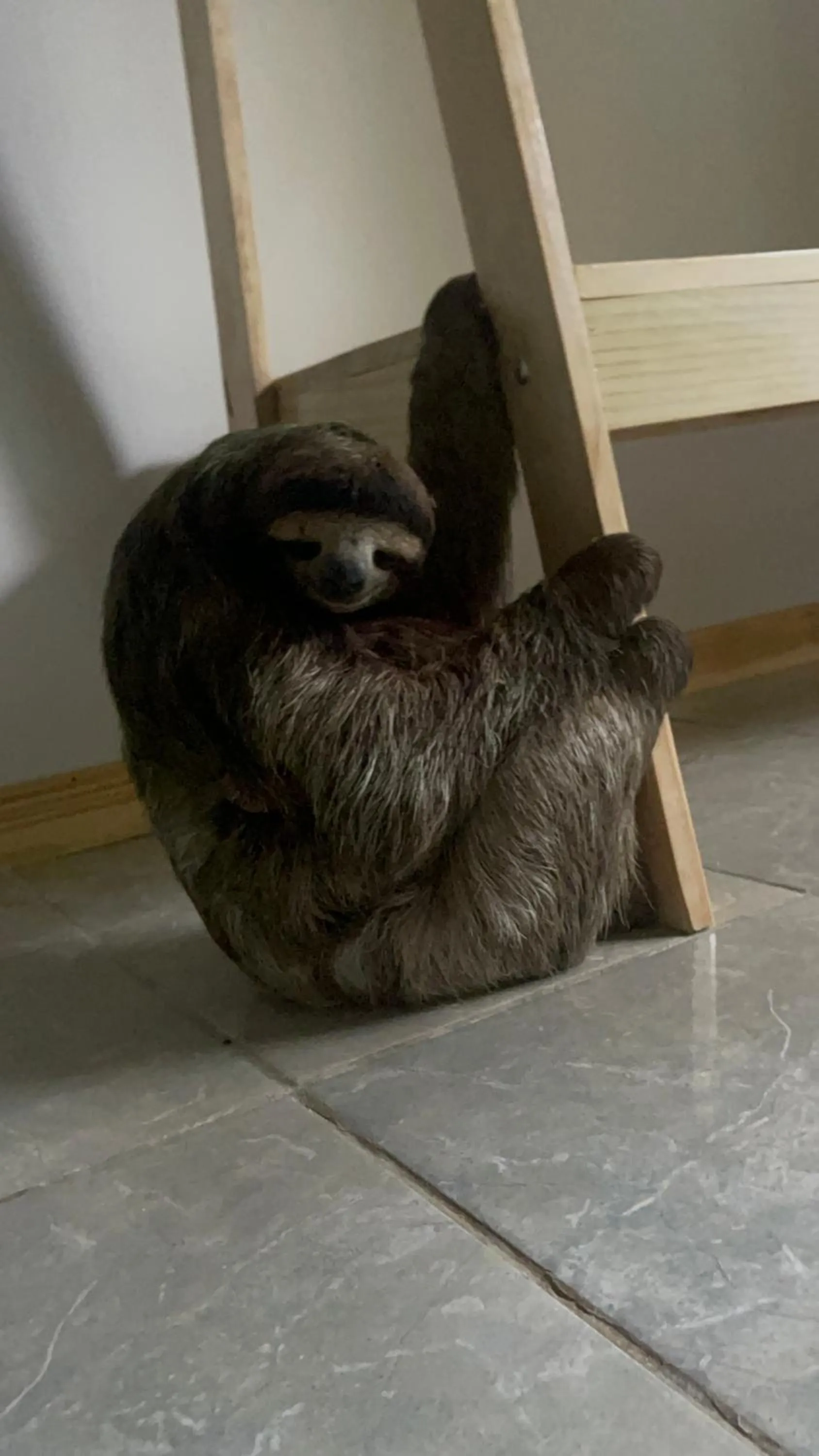 Hotel Indalo adults only