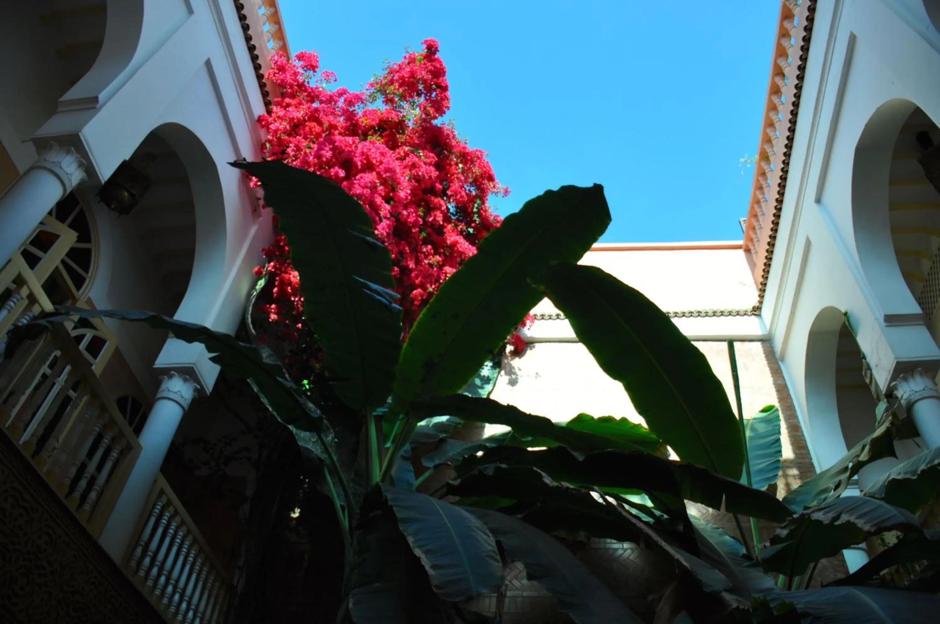 Lobby or reception in Riad Habib