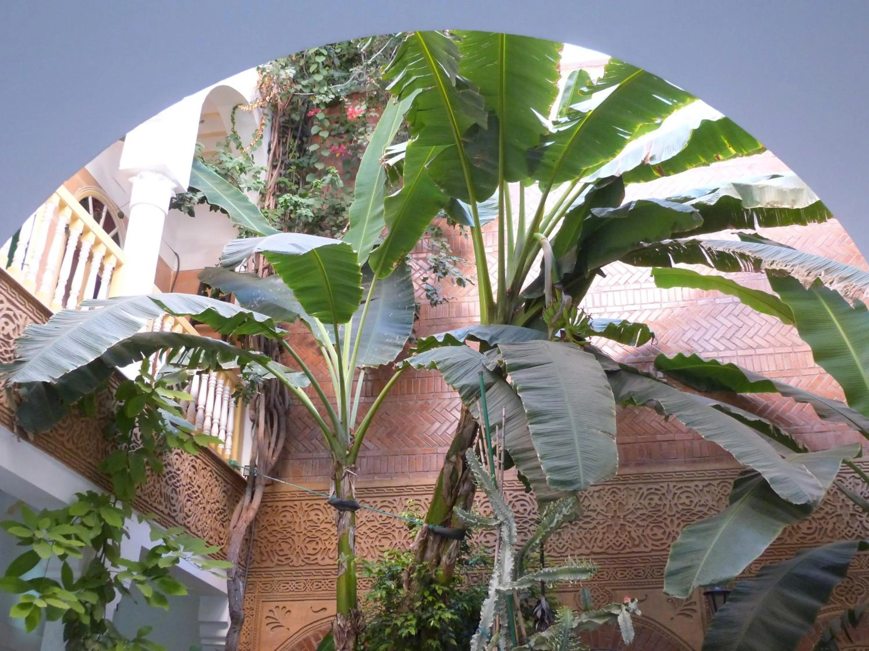 Lobby or reception in Riad Habib