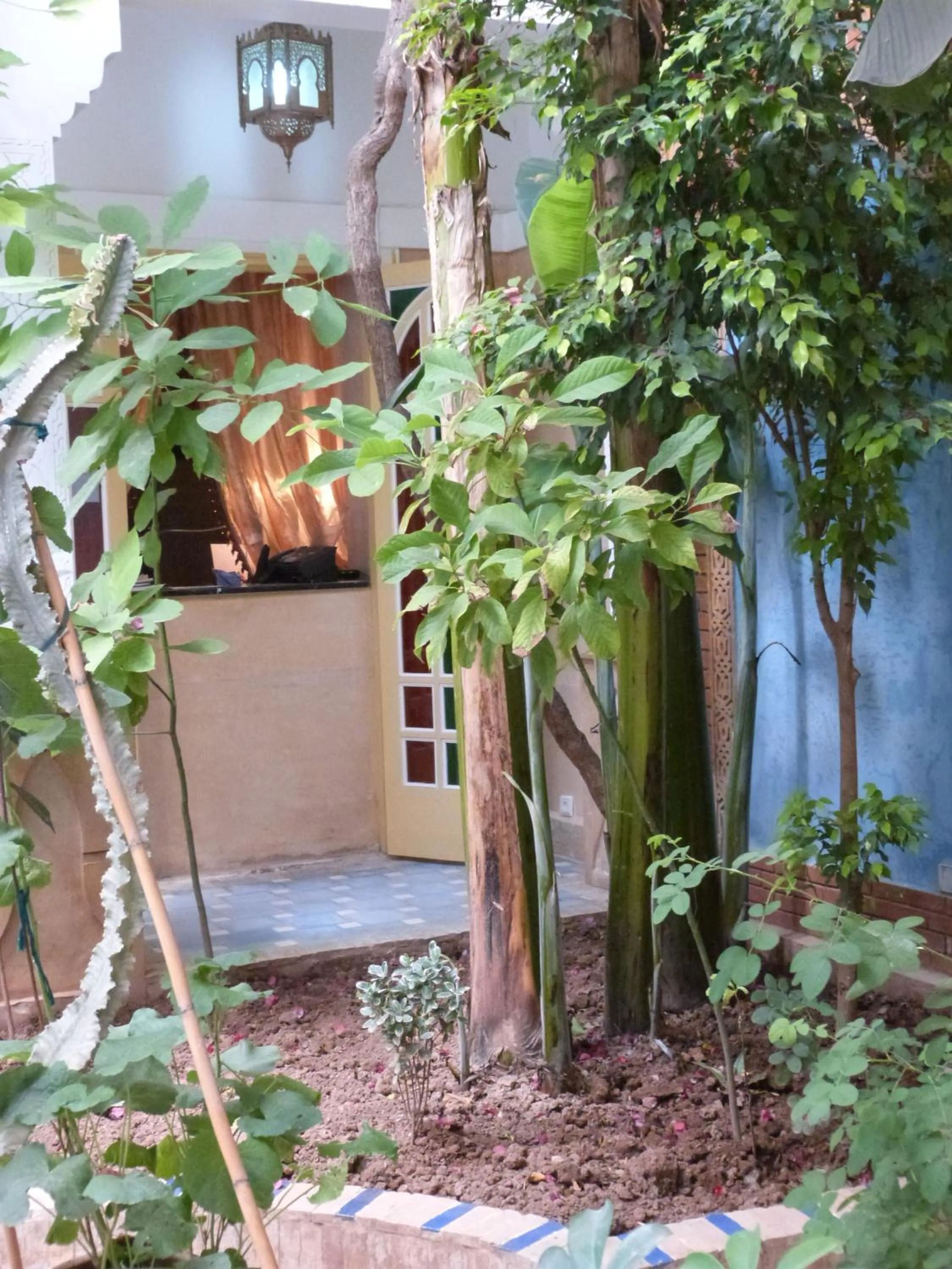 Lobby or reception in Riad Habib