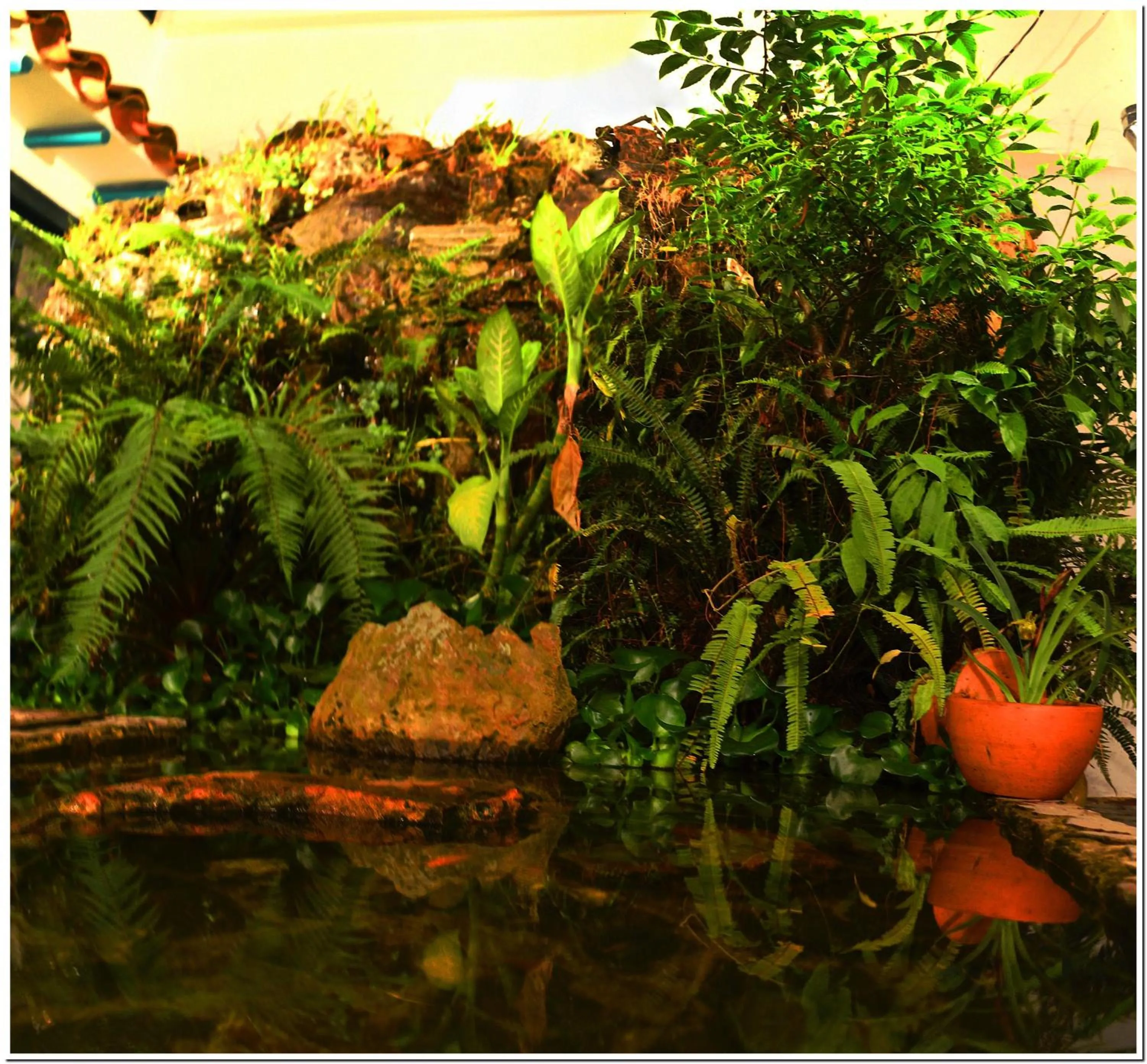 Patio in Hotel Antonio Nariño