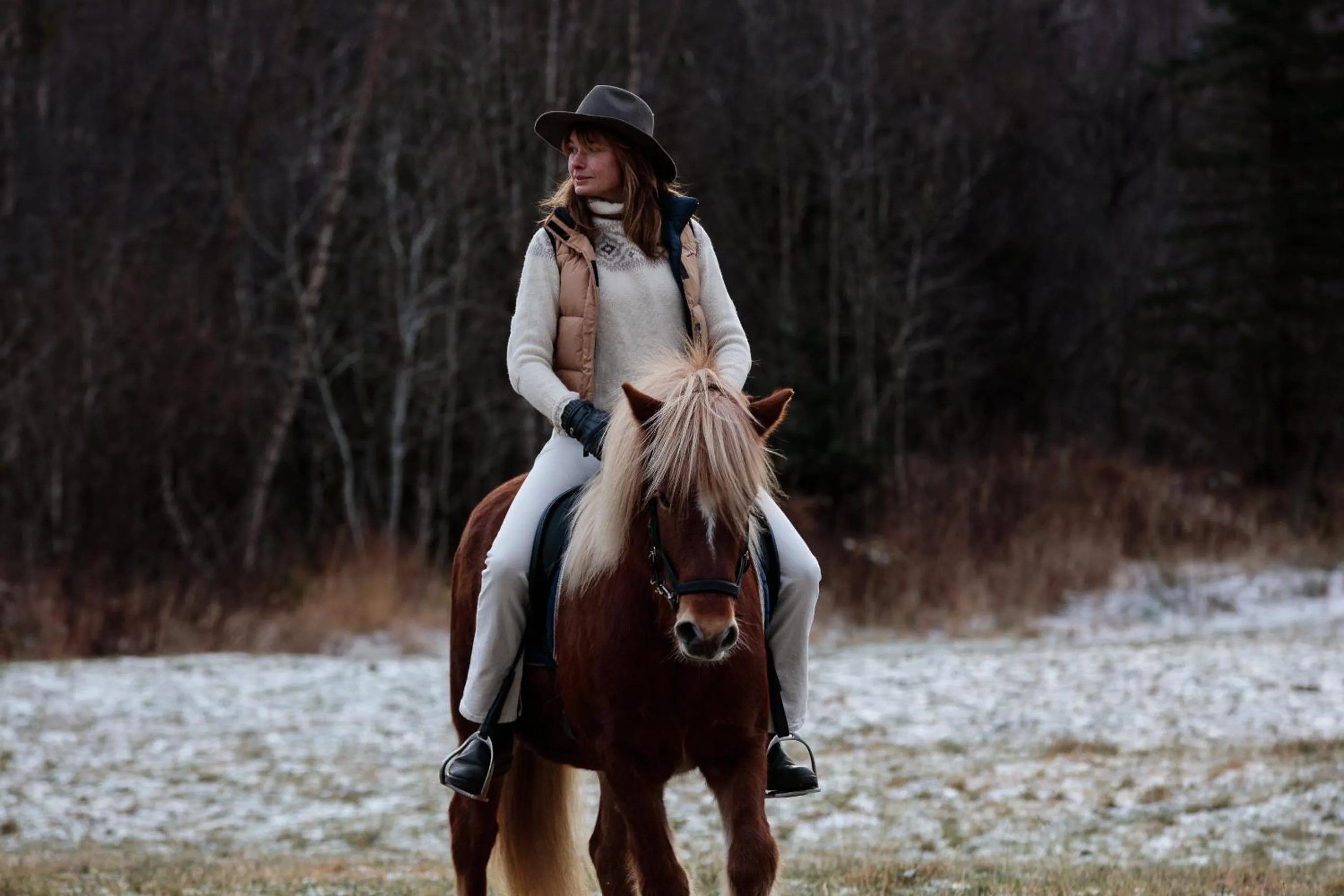 Horse-riding in Storfjord Hotel