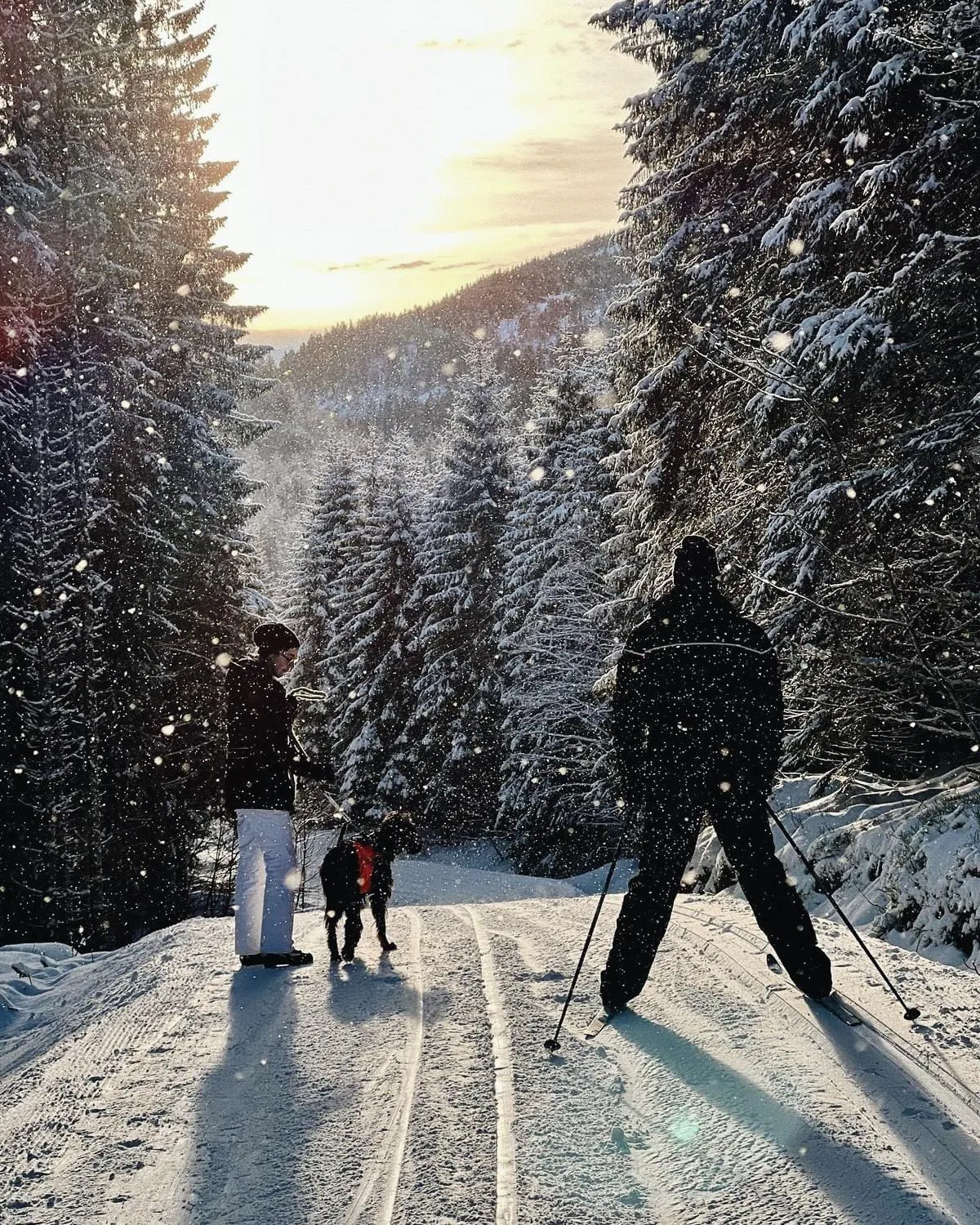 Skiing in Storfjord Hotel