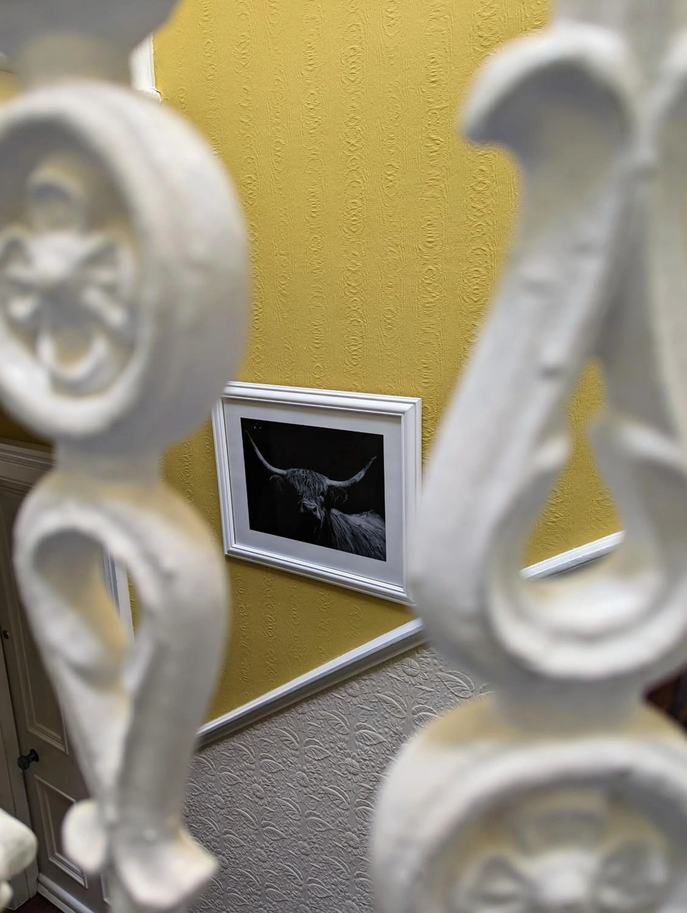 The Coo's Guest House