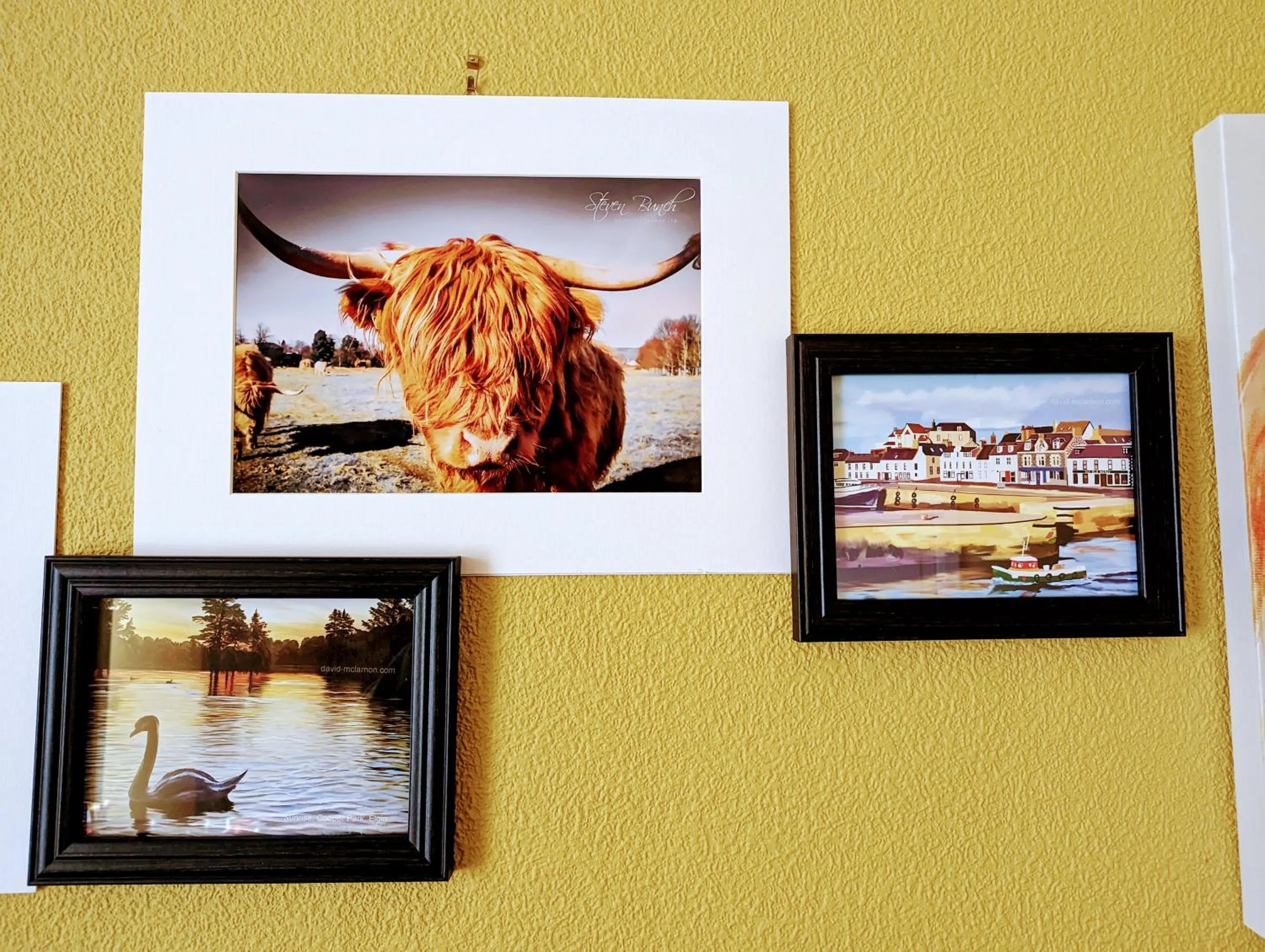 The Coo's Guest House