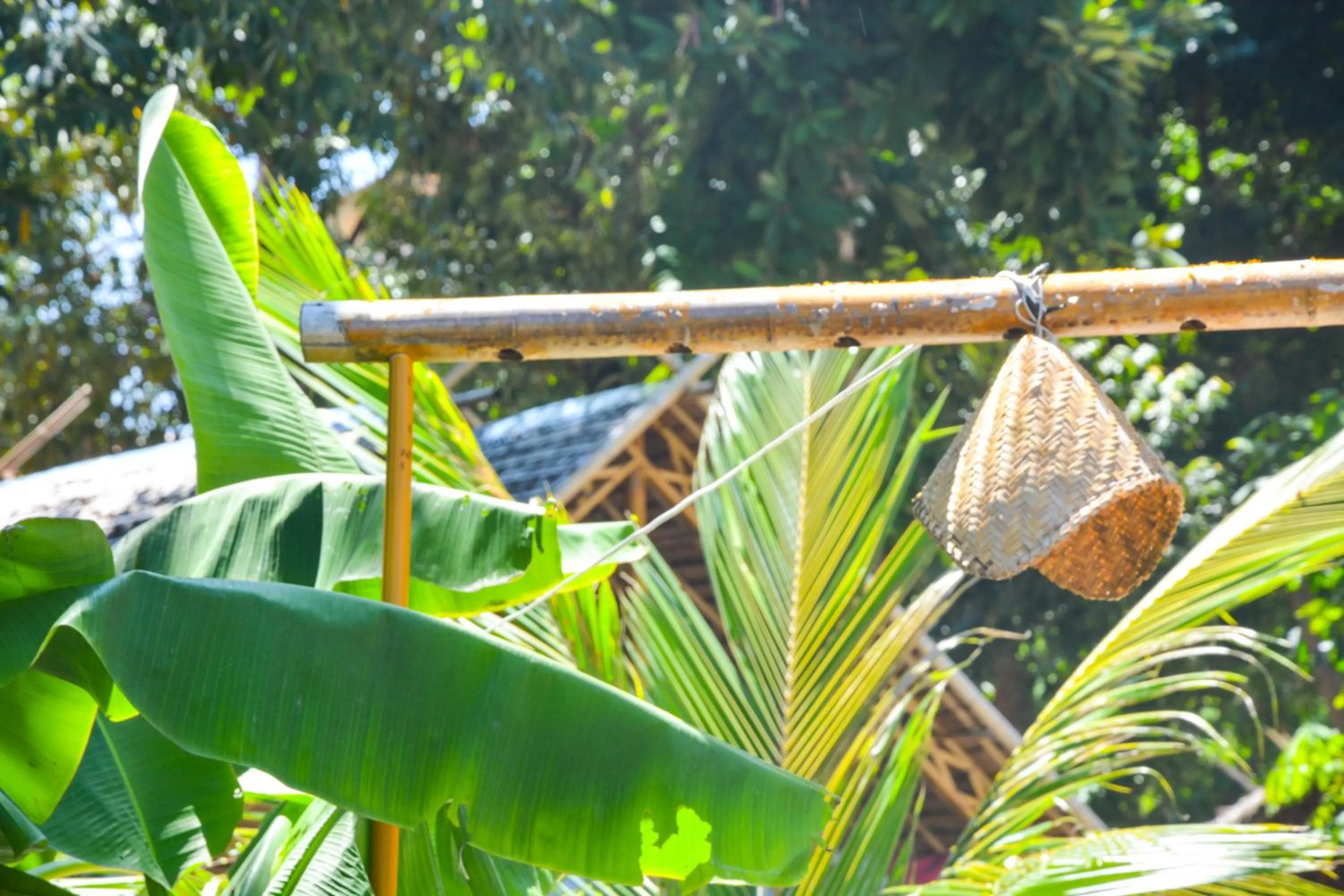 Garden in Forra Dive Resort Pattaya Beach