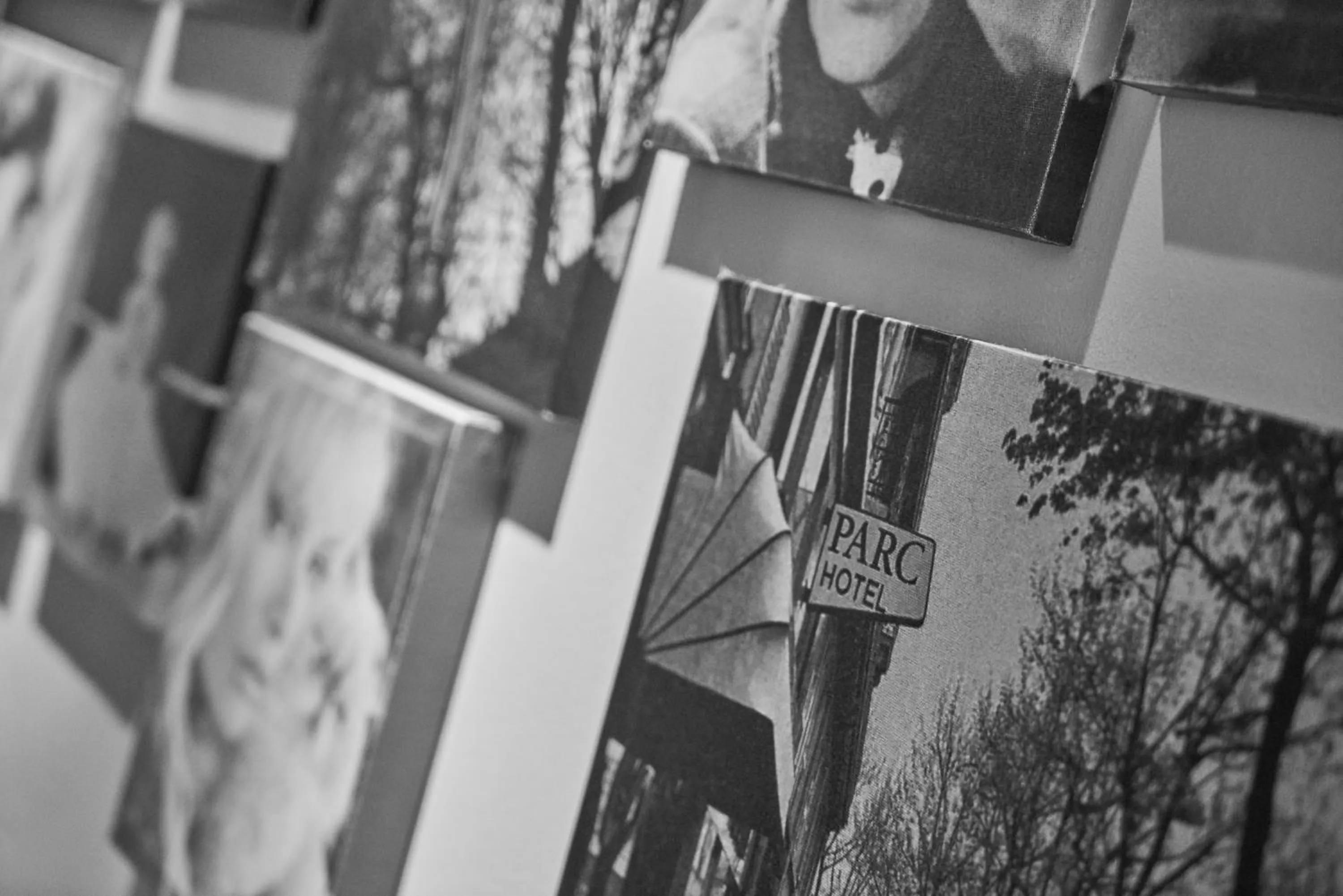 Restaurant/places to eat in Feronya Hotel