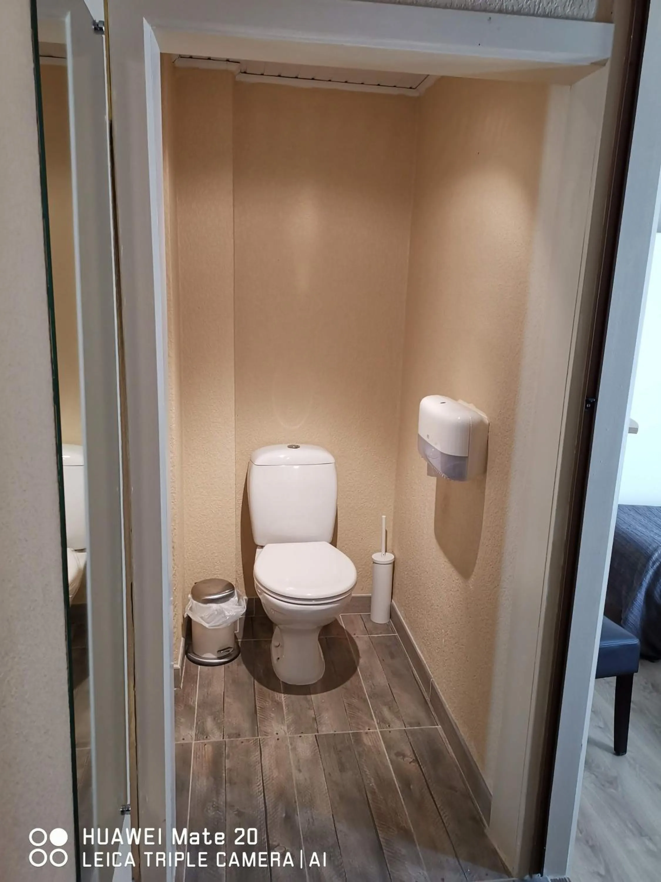 Toilet in Hôtel La Côte d'Or