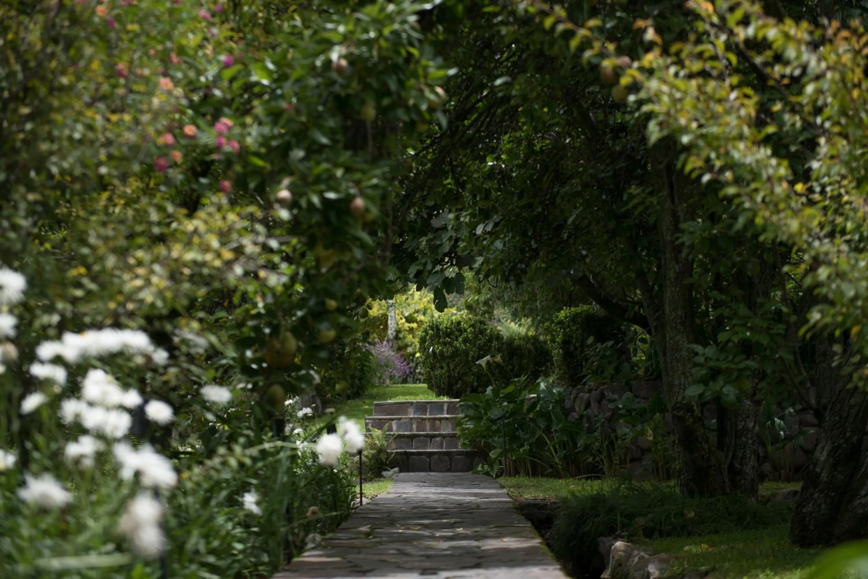 Andenia Boutique Hotel, Sacred Valley